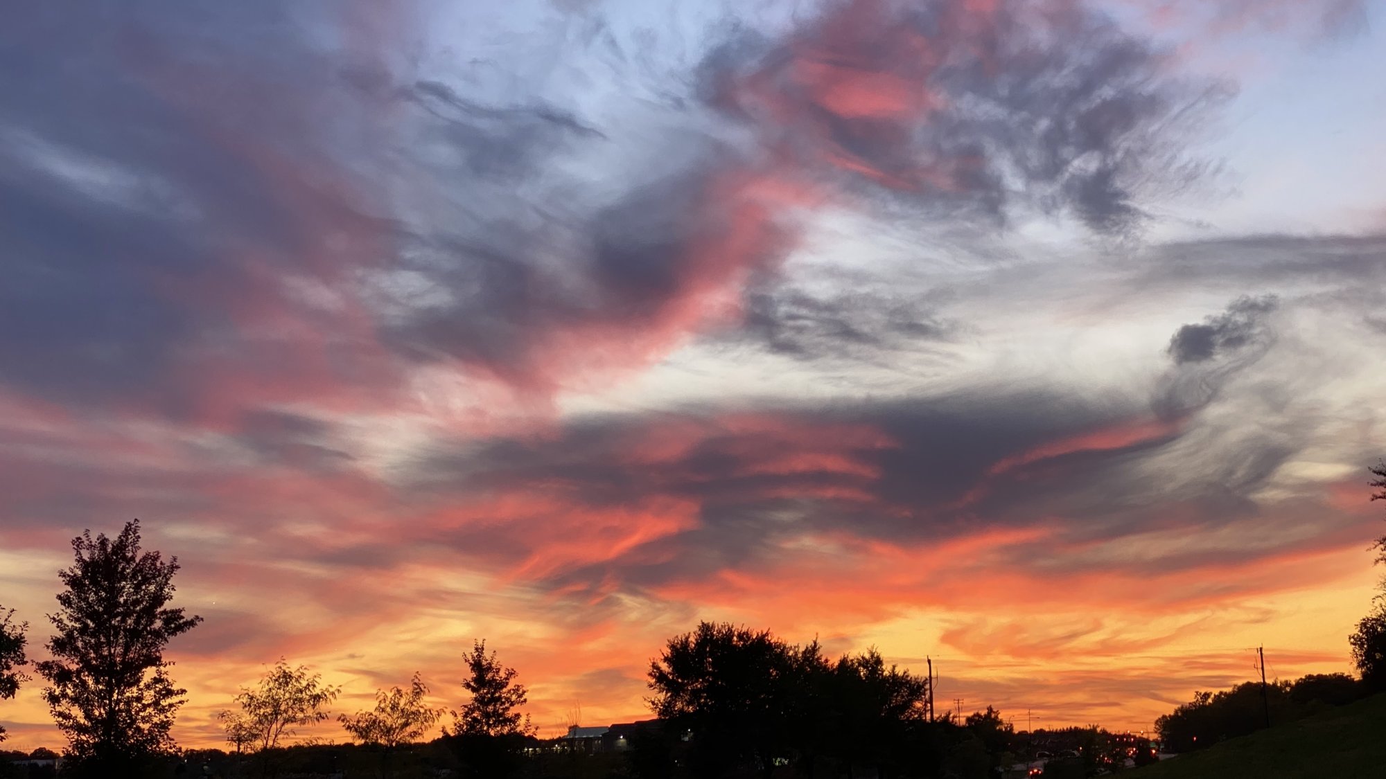 3B128C1D-C3BA-4AD6-90A8-0078A4A4F944.jpeg