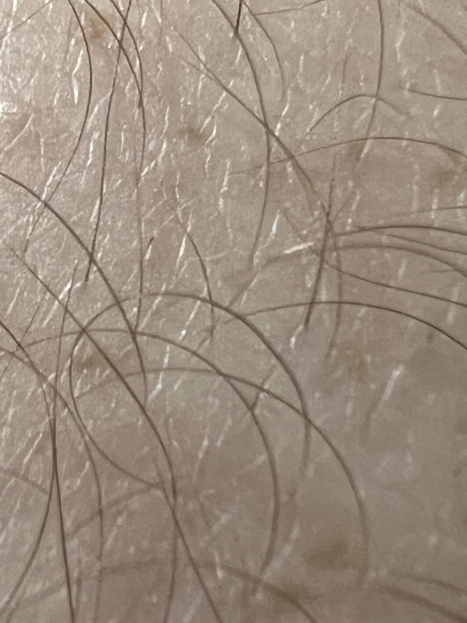 3BA42344-3B55-4887-91DF-530D95FFFFC9.jpeg
