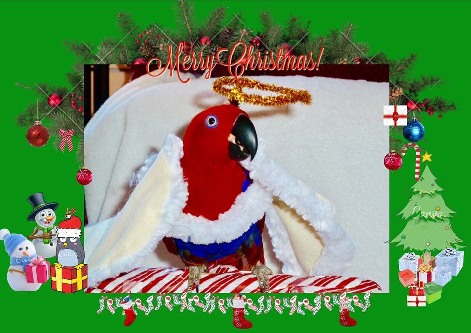 3D179281-34E8-486C-B706-E0AD5601FB04.jpeg