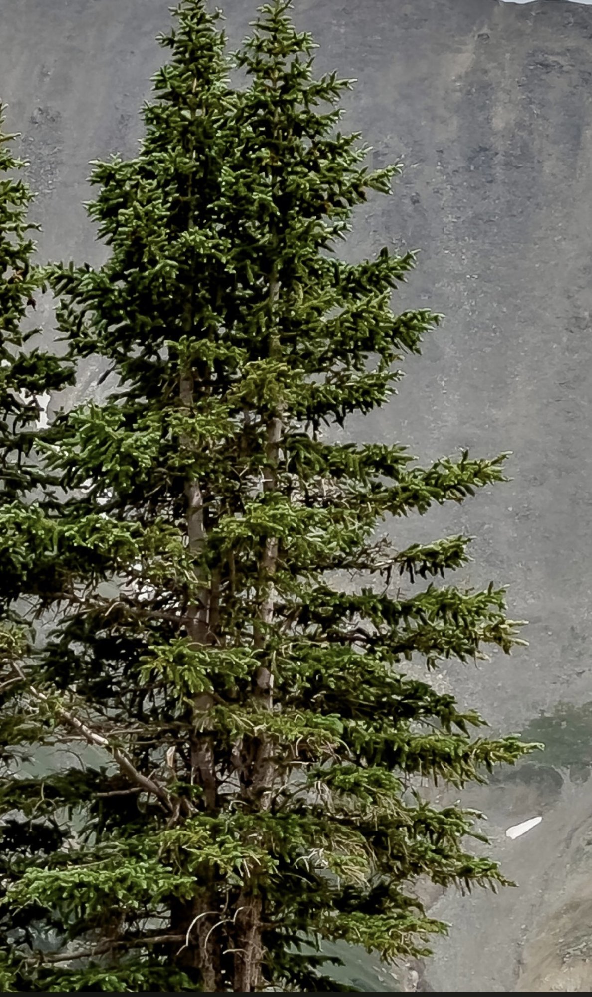 3E117495-DE54-474E-A18A-4820F0B9A6E4.jpeg