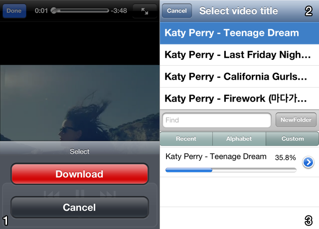 Saves YouTube clips as MP4 files to your camera roll