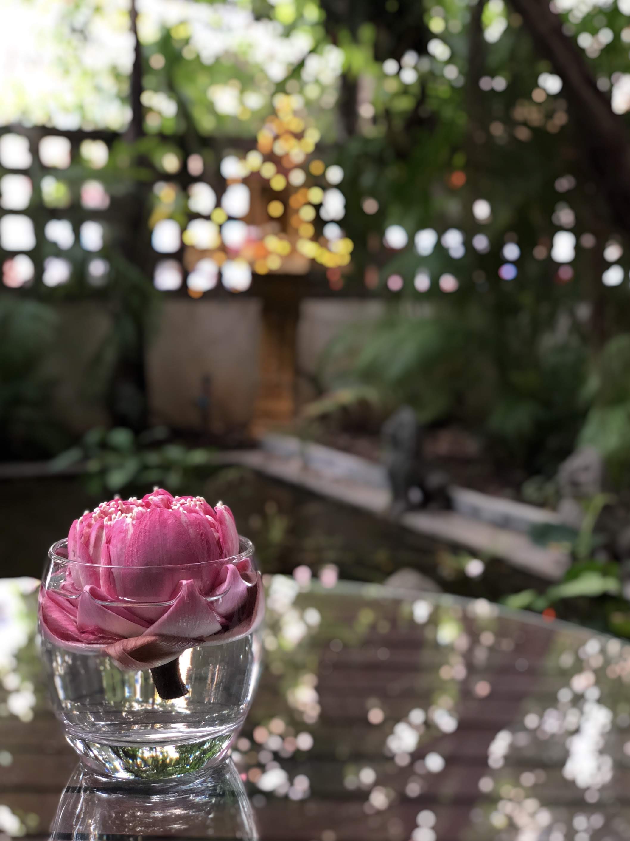 400BB860-9607-49B3-917B-3AF3F7CA54AD.JPG