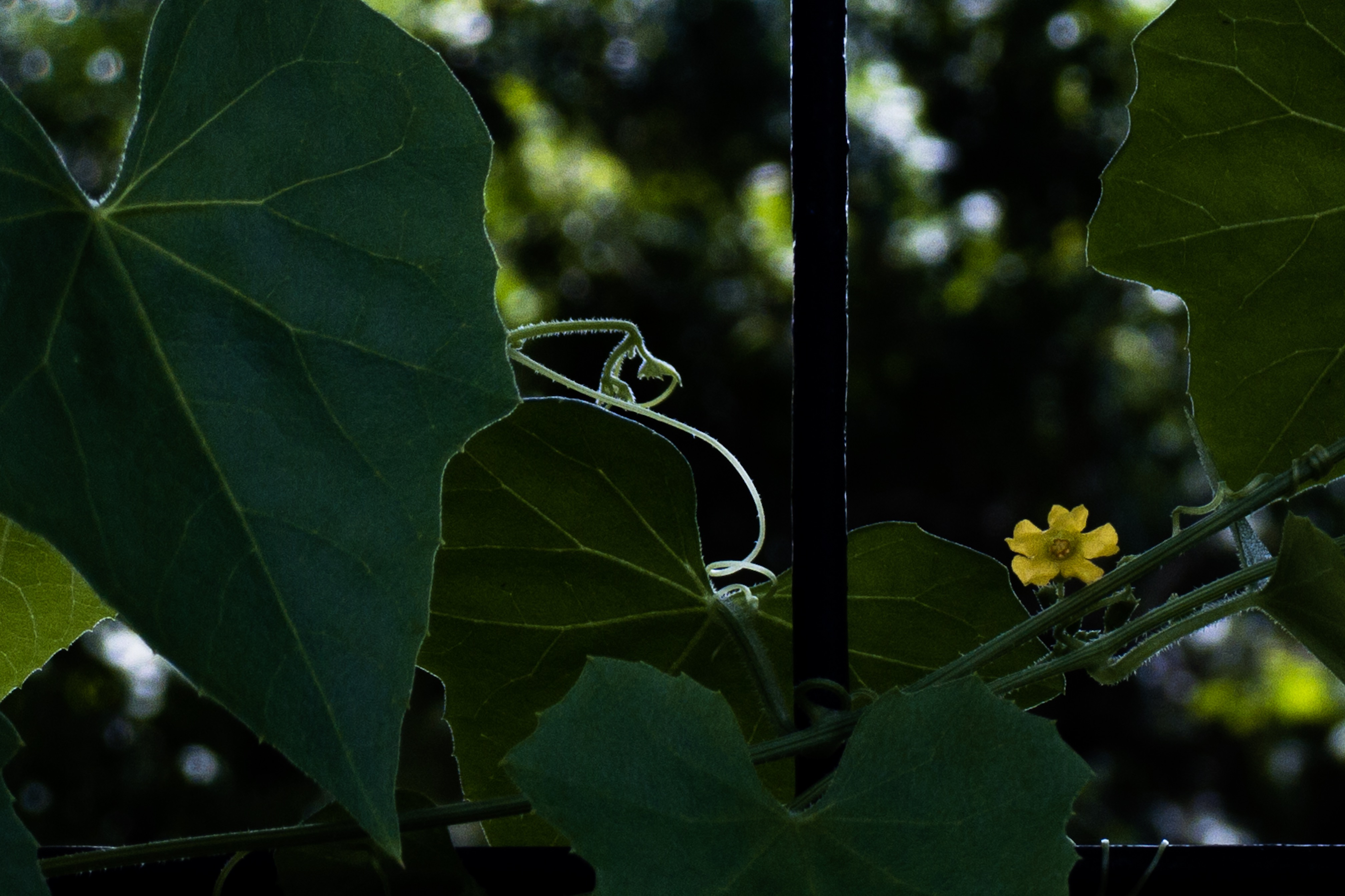 408D4F4A-82B1-493C-949D-4035A0590788.jpeg