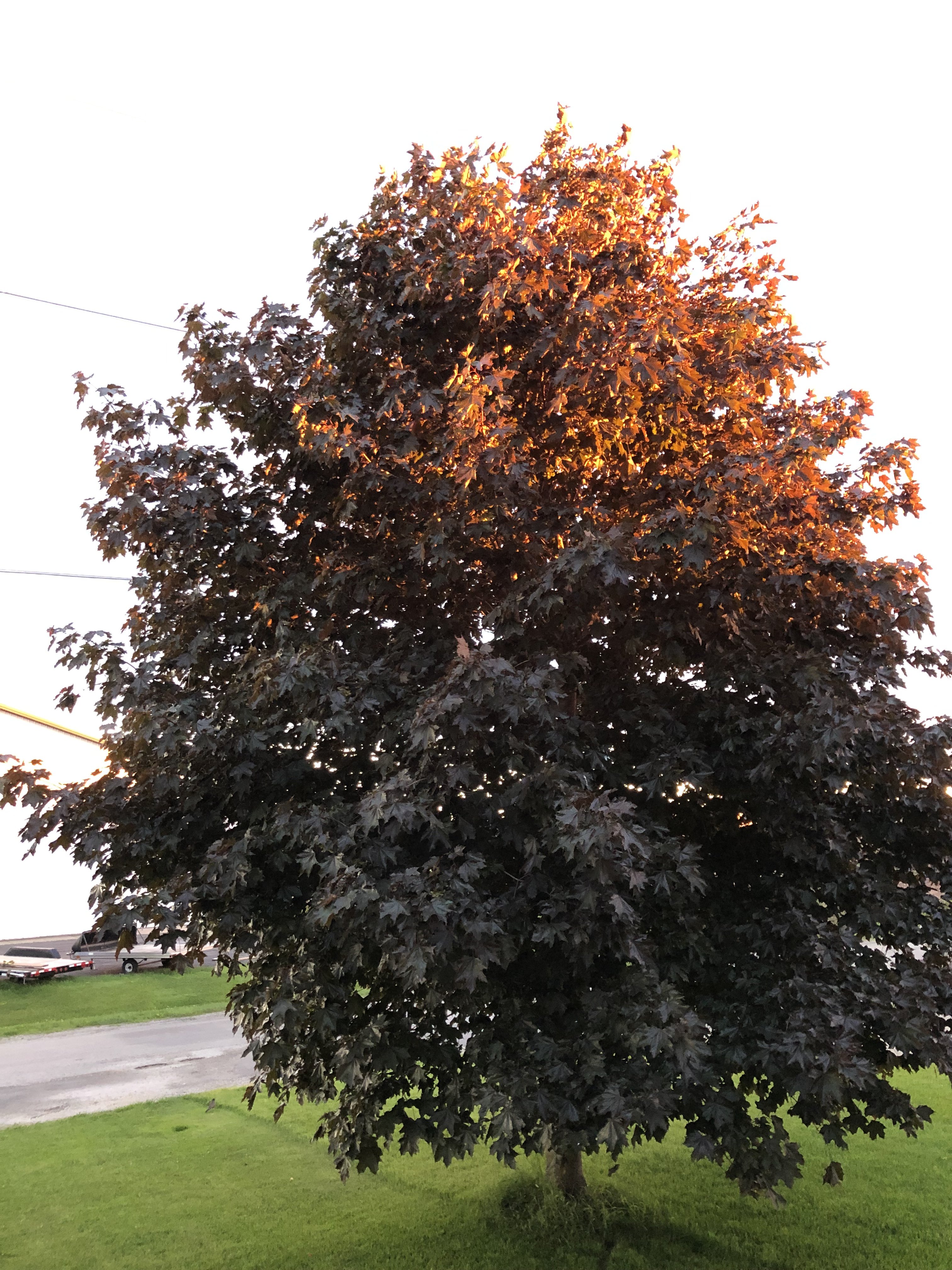 44631CBE-EBE6-4CE6-8454-D8757C9EB133.jpeg