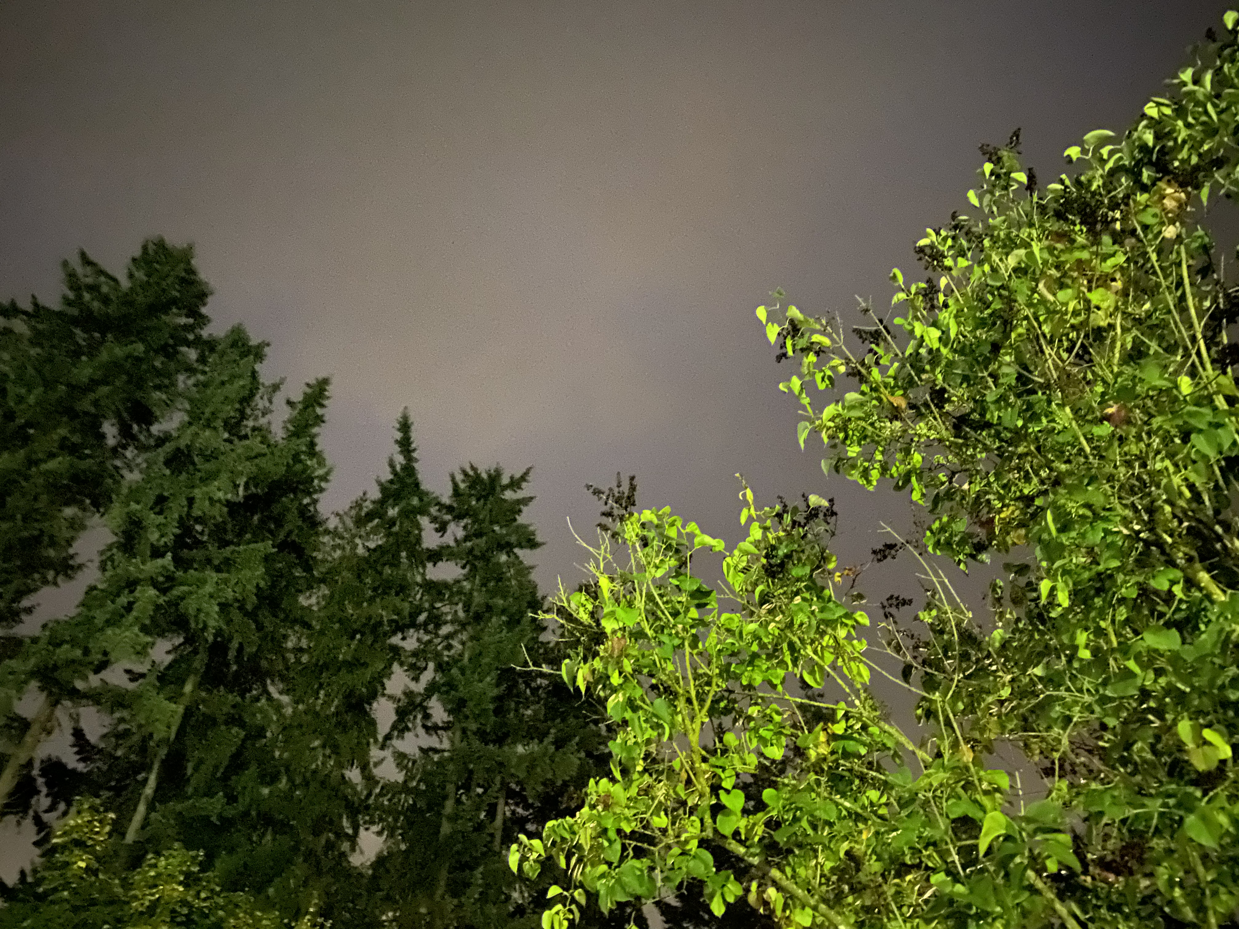 447EEBFE-C5B4-430E-98CE-D8413A82CF01.jpeg