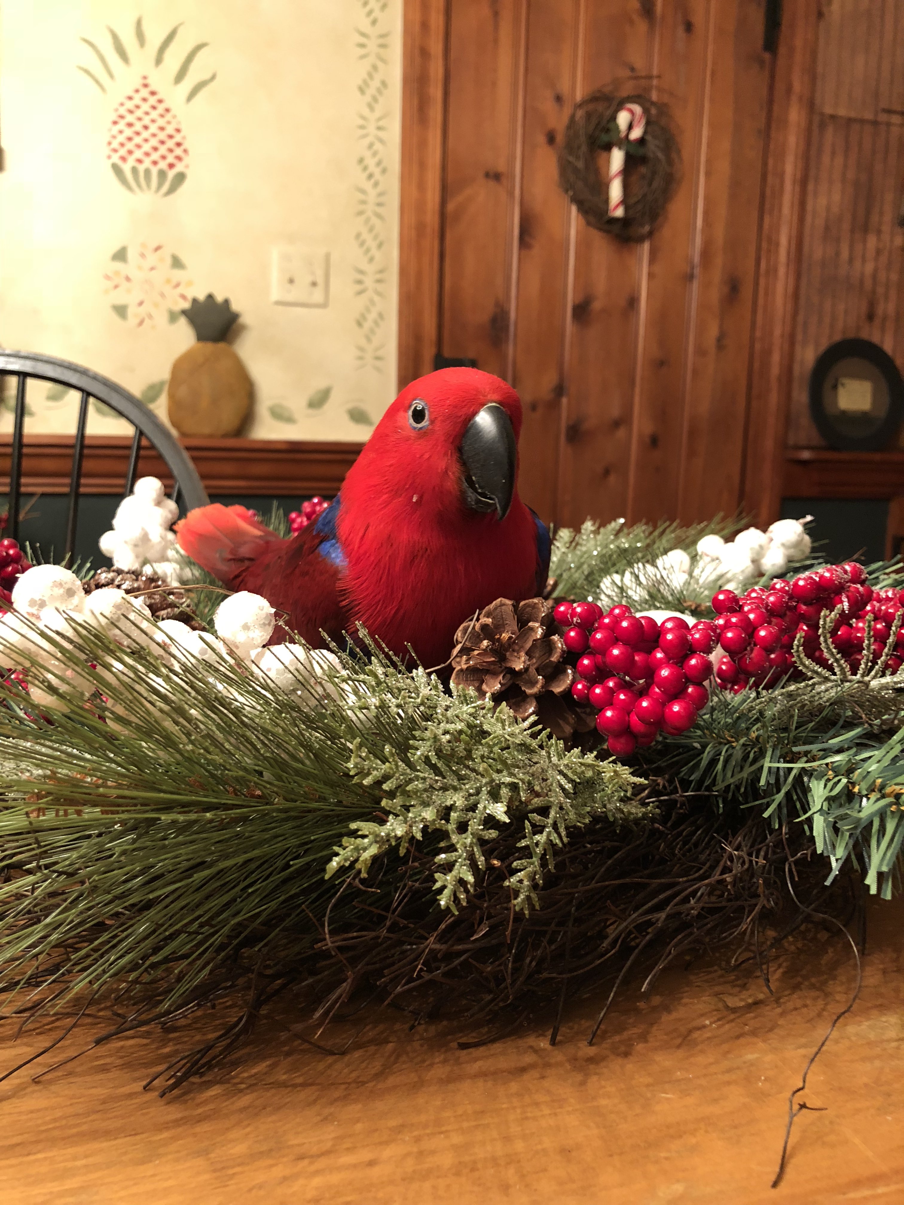 45D21172-601C-488F-9B0A-2671C9D1405D.jpeg