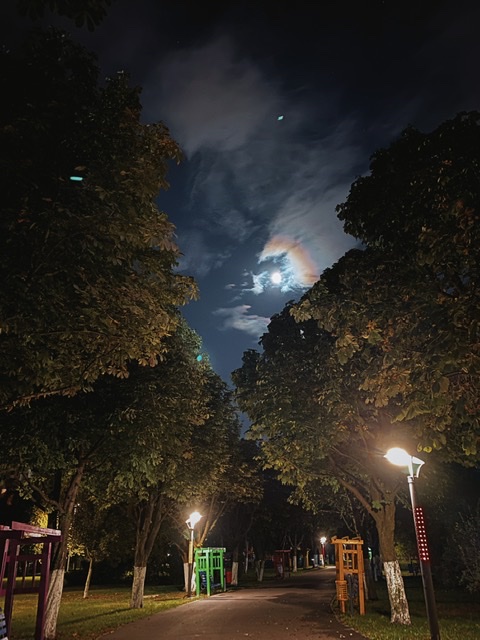 4623630D-4608-4382-B2C3-B92E9037E396.jpeg