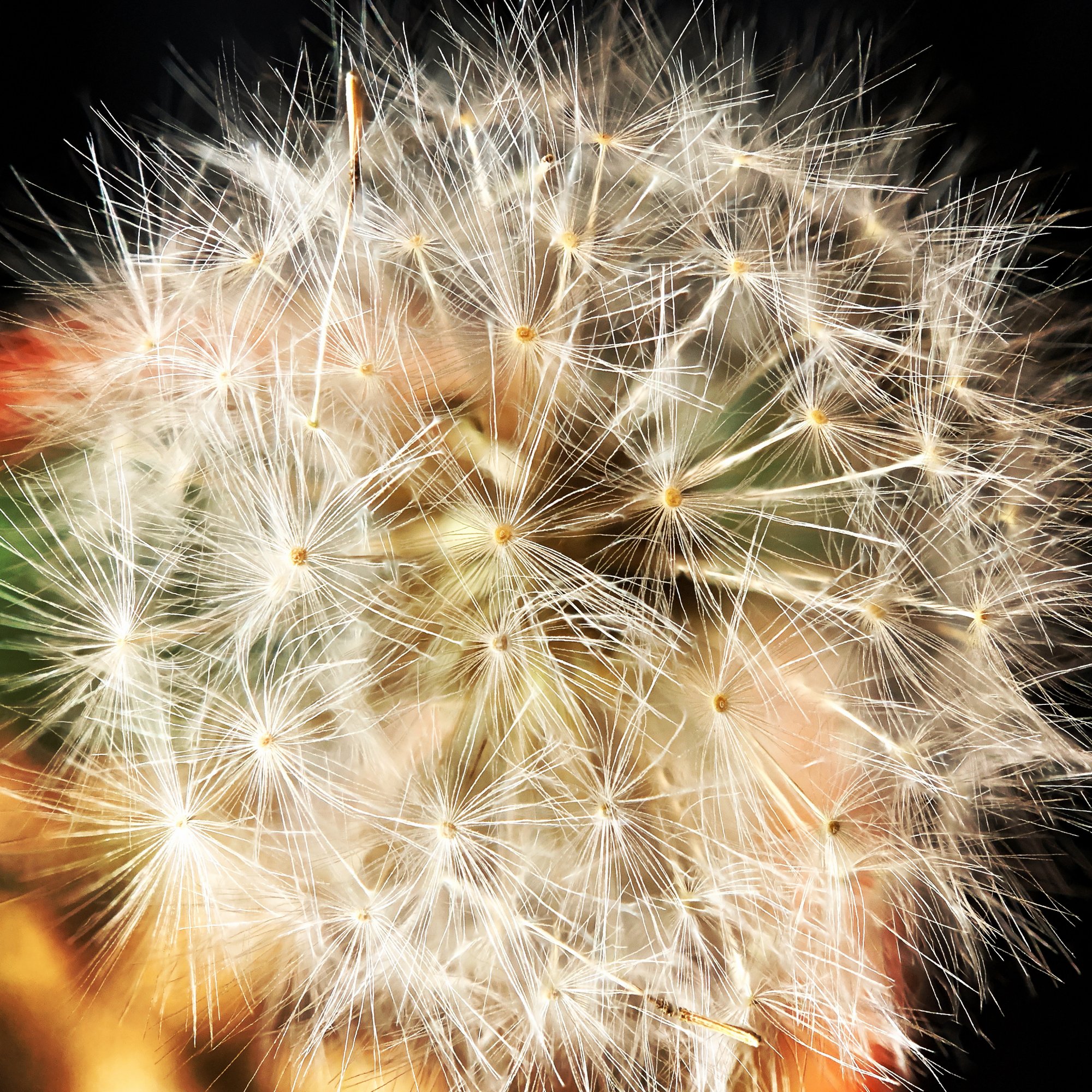 48039DDC-DF58-487C-B644-22FBD92E1D16.jpeg