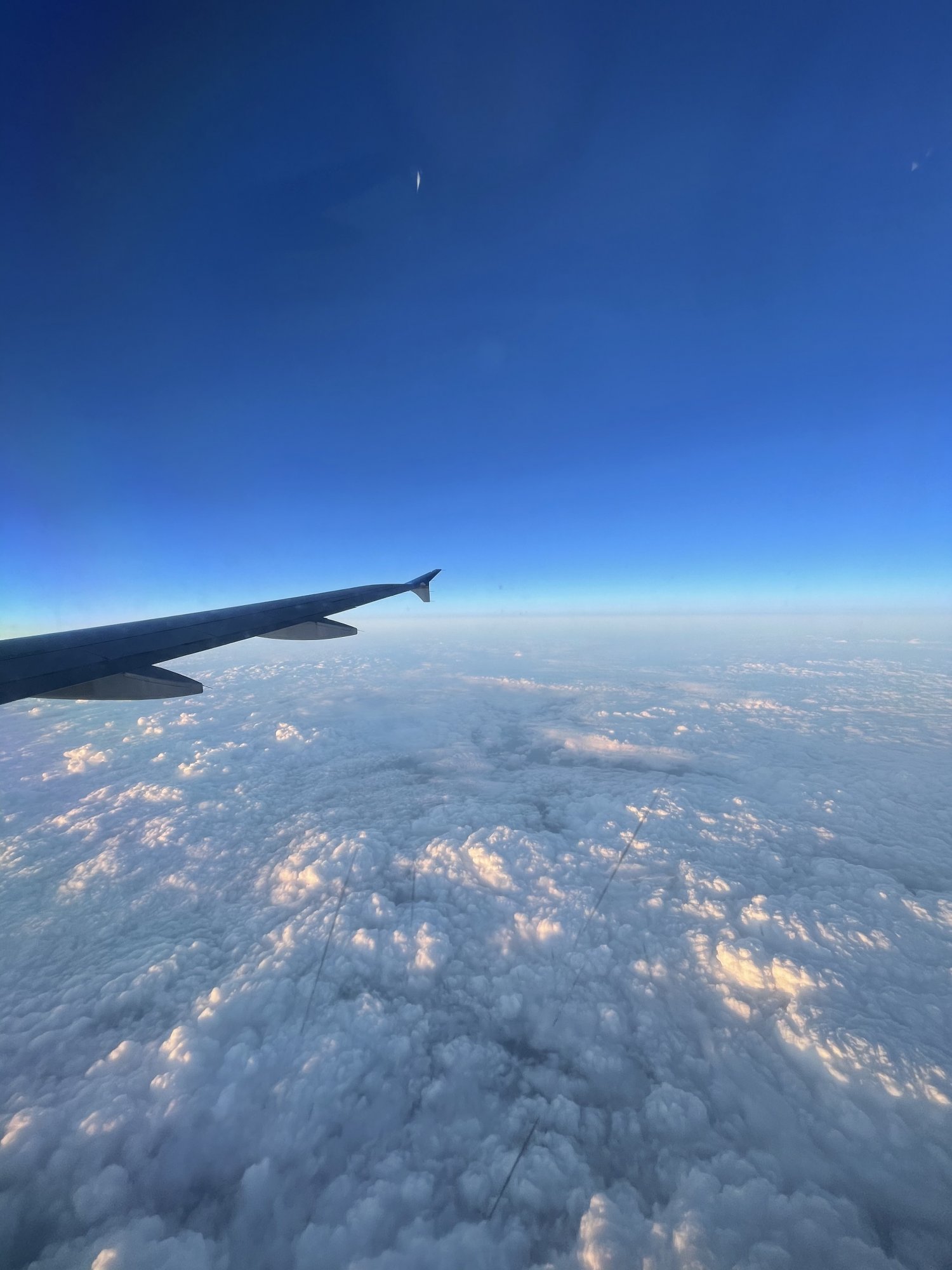 491CF67C-3E74-4E6B-A8ED-13CC45AF55D9.jpeg