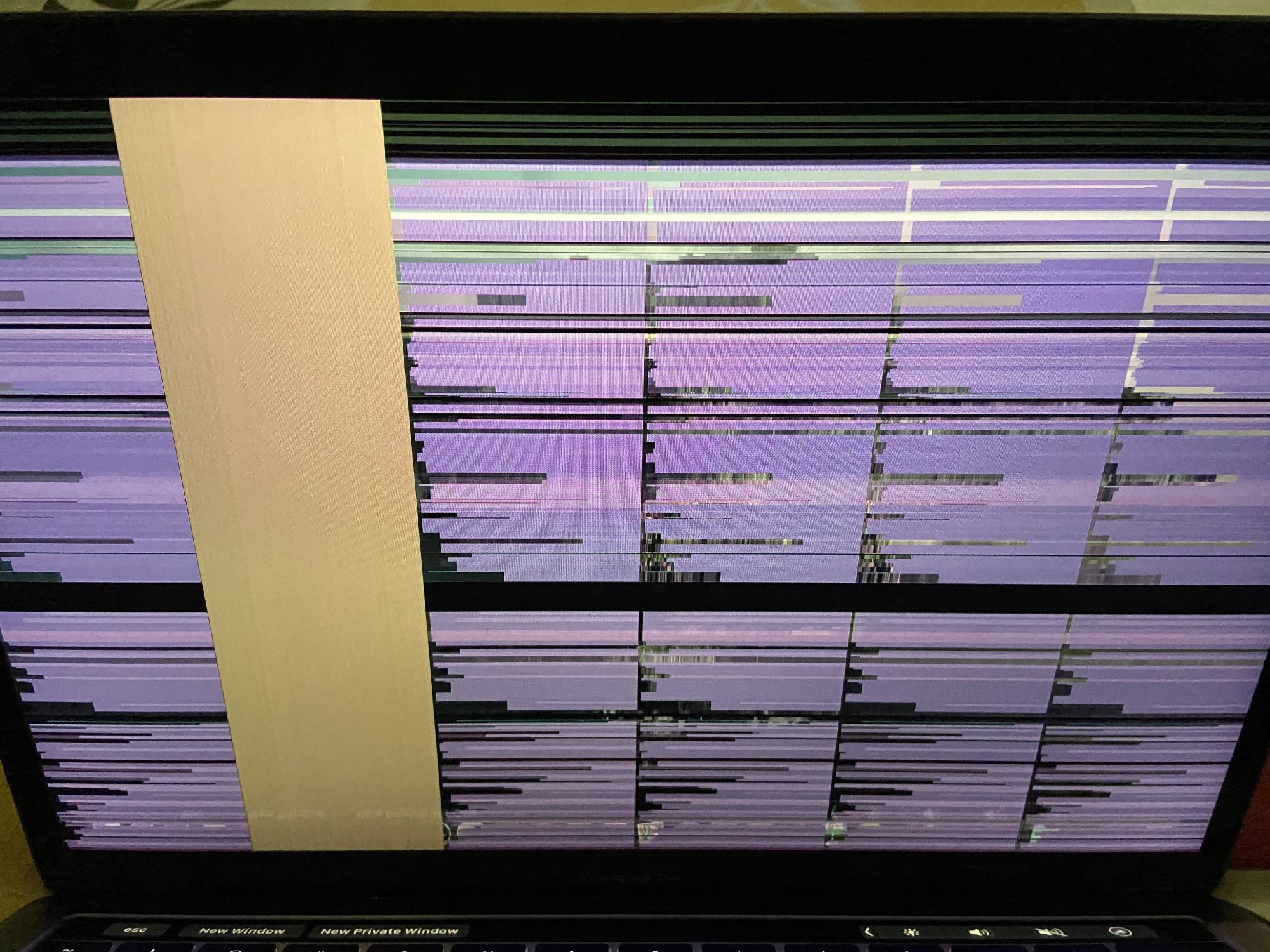 49AABBBD-DD21-4D23-B490-C679894327A6.jpeg