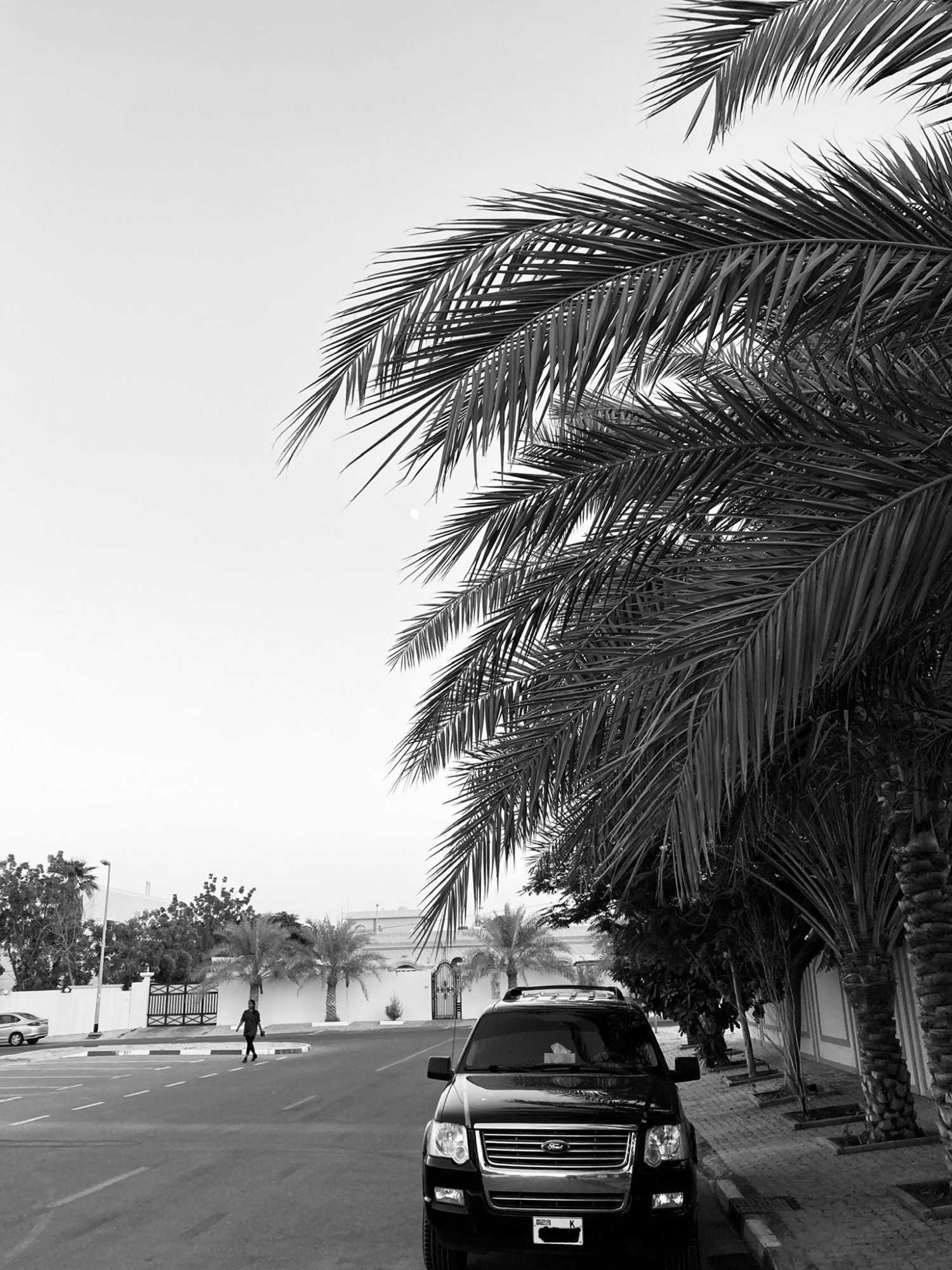 4C8082A4-1E5A-4B90-A2E3-493BD47D66A1.jpeg