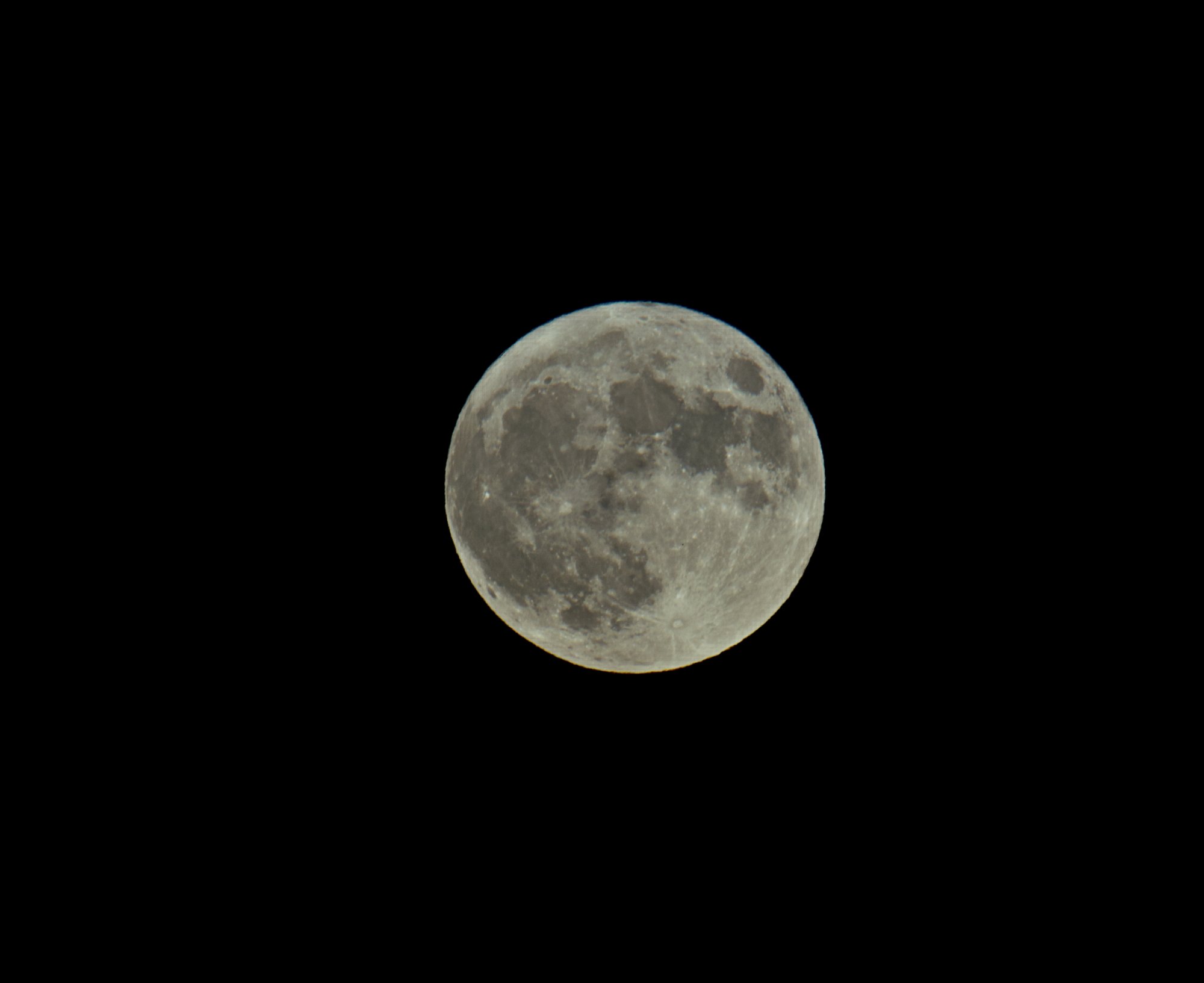 500_1127 copy.jpg