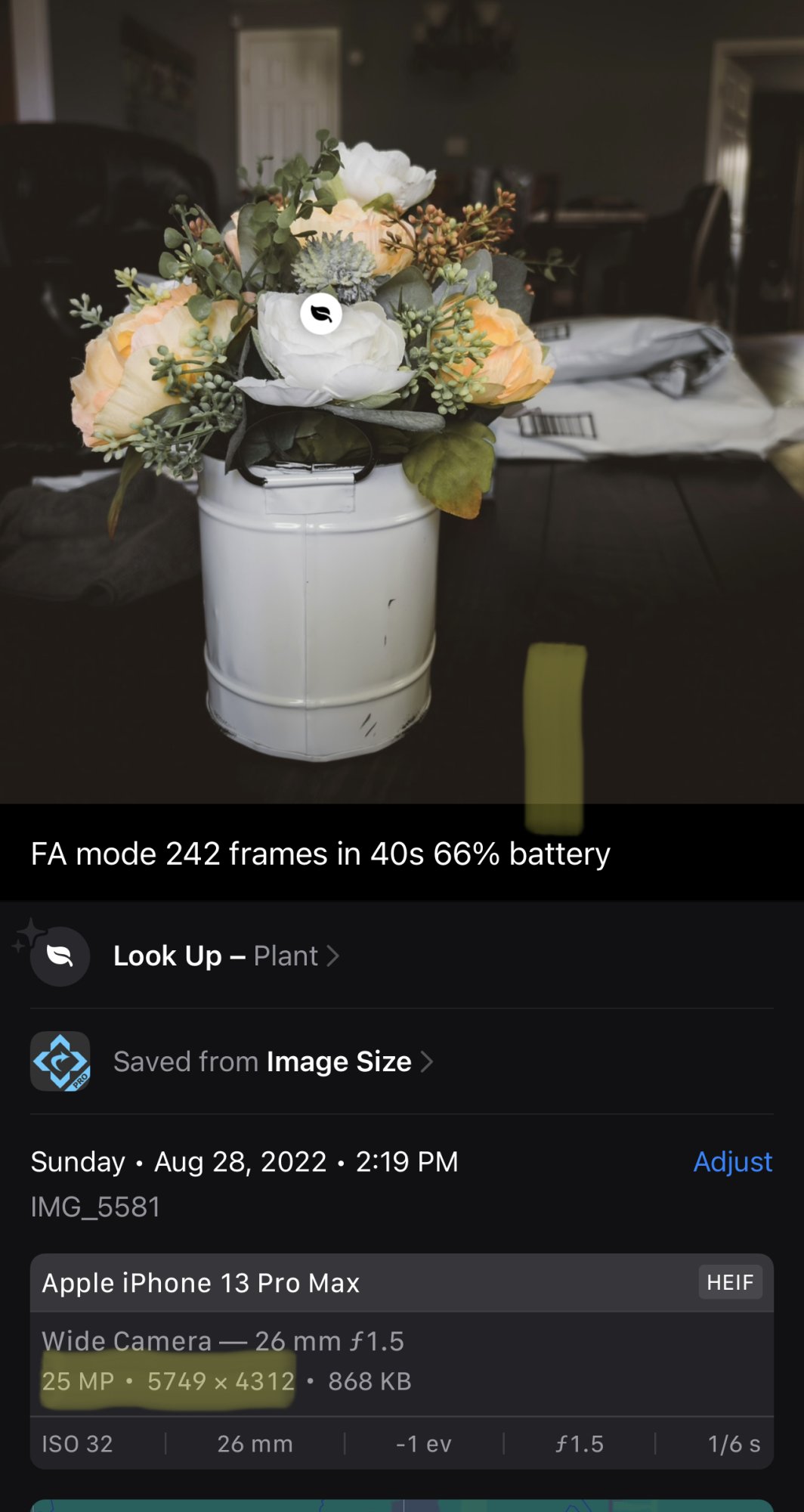 50FA0574-273F-466C-94DA-EB985FA7FFC4.jpeg