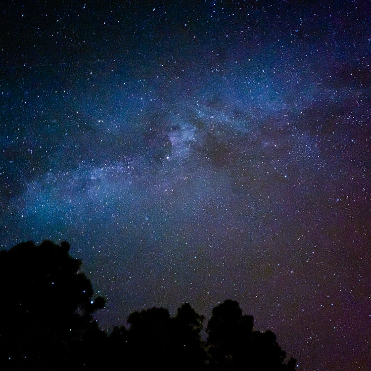 557F3975-8DDB-44FC-8A79-A37F3B4AB3C9.jpeg
