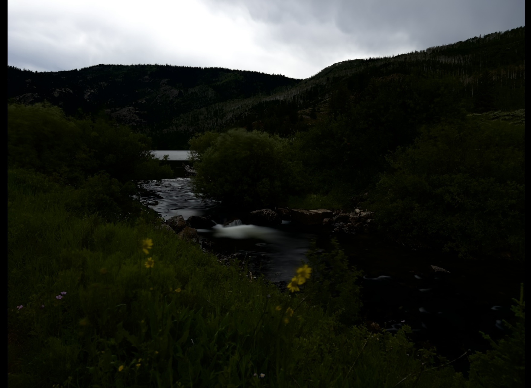 55E9CB2A-1CE4-456E-932E-1D517353F00F.jpeg