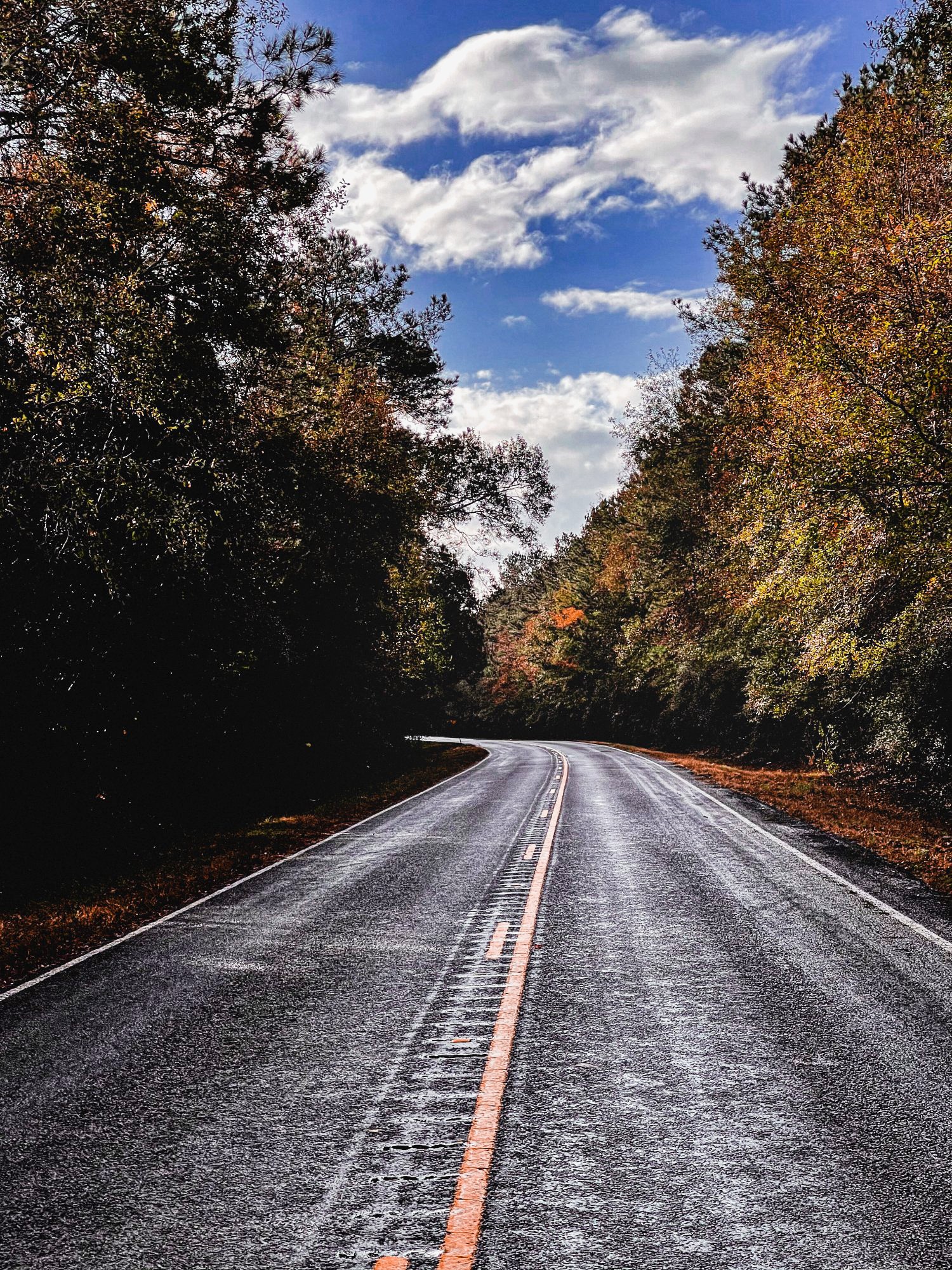 560B1D48-FF10-4A73-8B7D-4A45C83EE773.jpeg_Edited.jpg