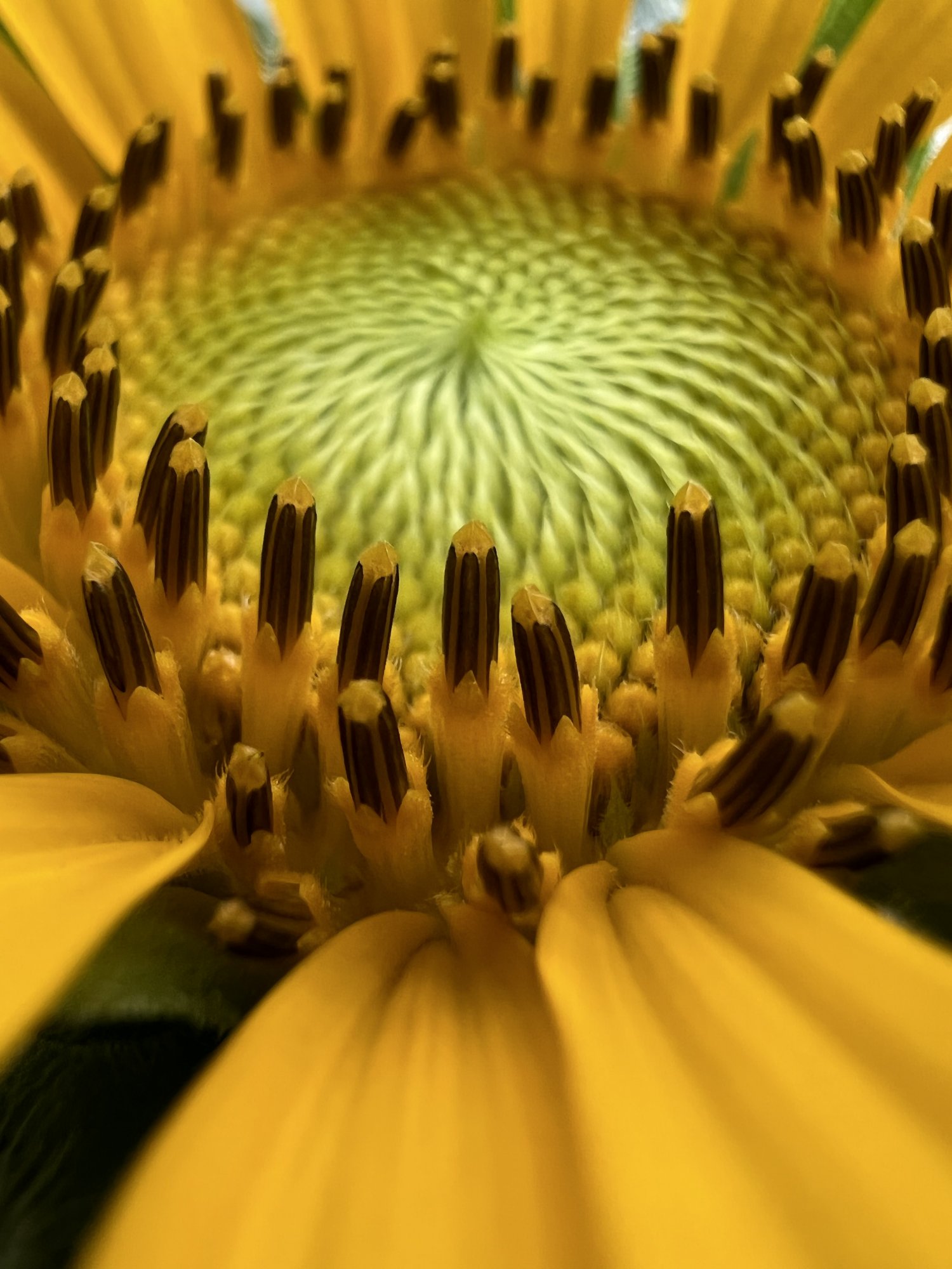 57A23B23-D4DC-4839-89A5-A19669365ED9.jpeg