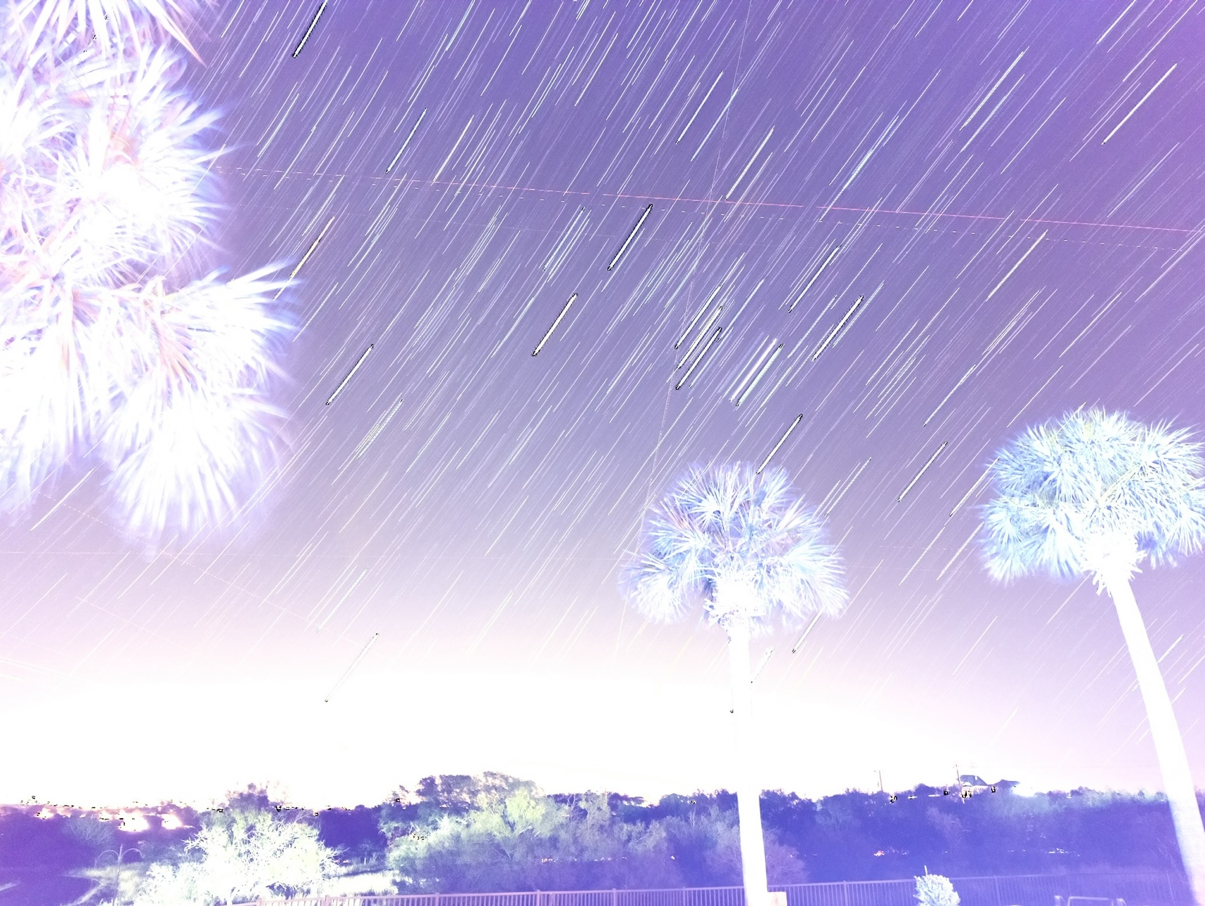 59431214-19AC-4B89-BC94-BC51881F624A.jpeg