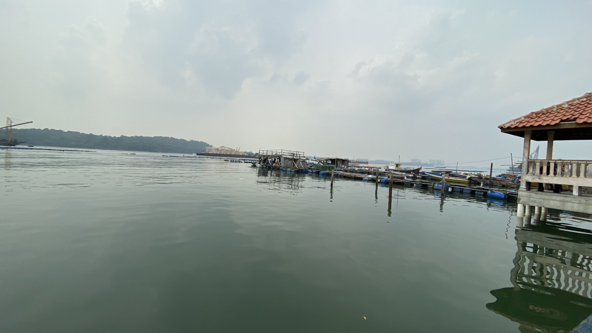 5989A746-116D-4699-BD1E-E1F02D4A30A2.jpeg