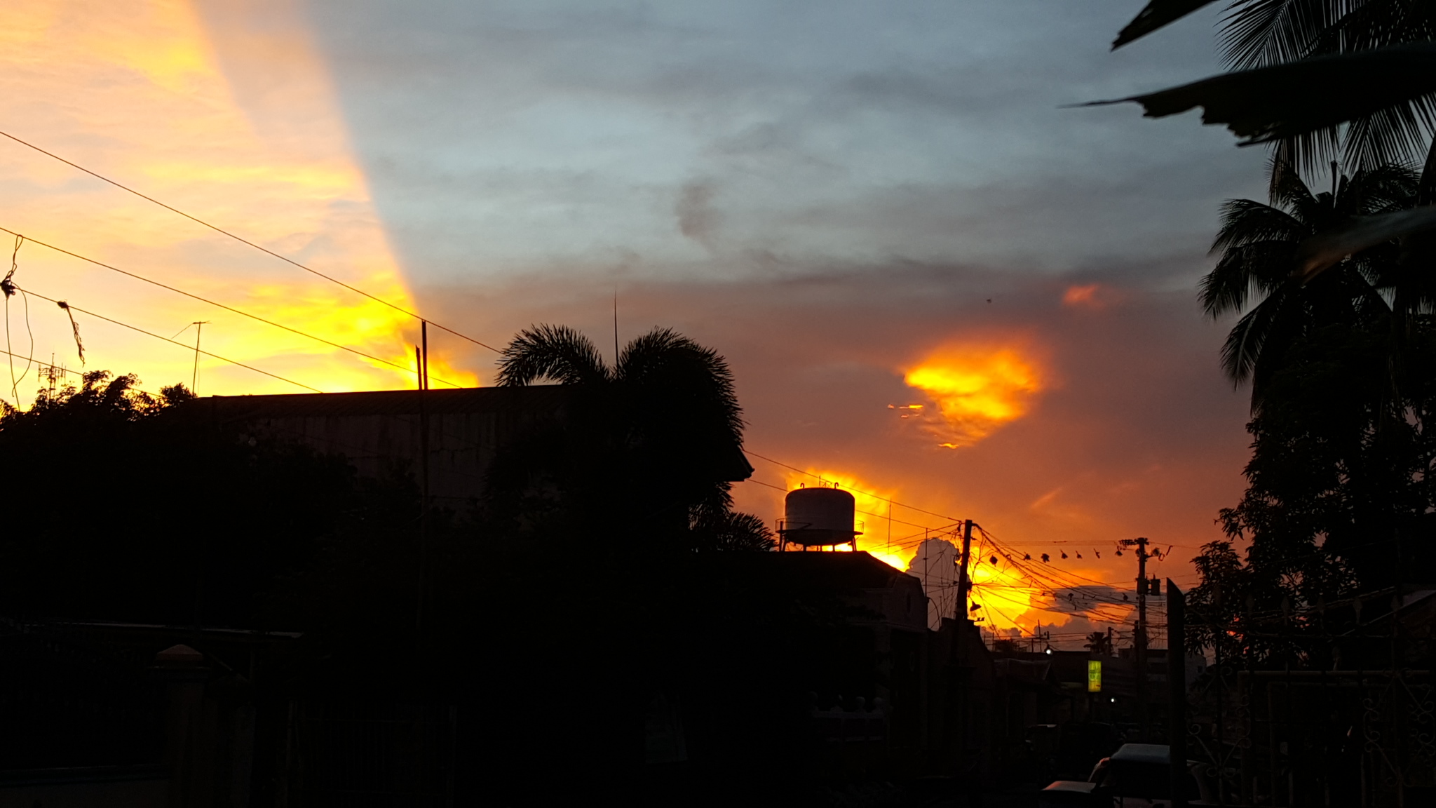 5AB46D79-E87B-4970-B069-C21D76F0B6FE.jpeg