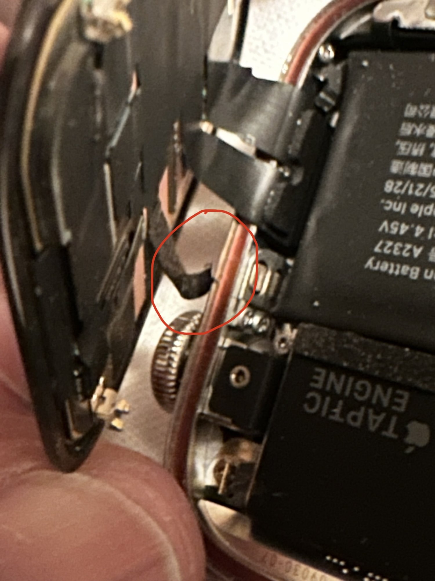 5CFC7049-2C2F-466D-8C60-2111F7EFCE36.jpeg