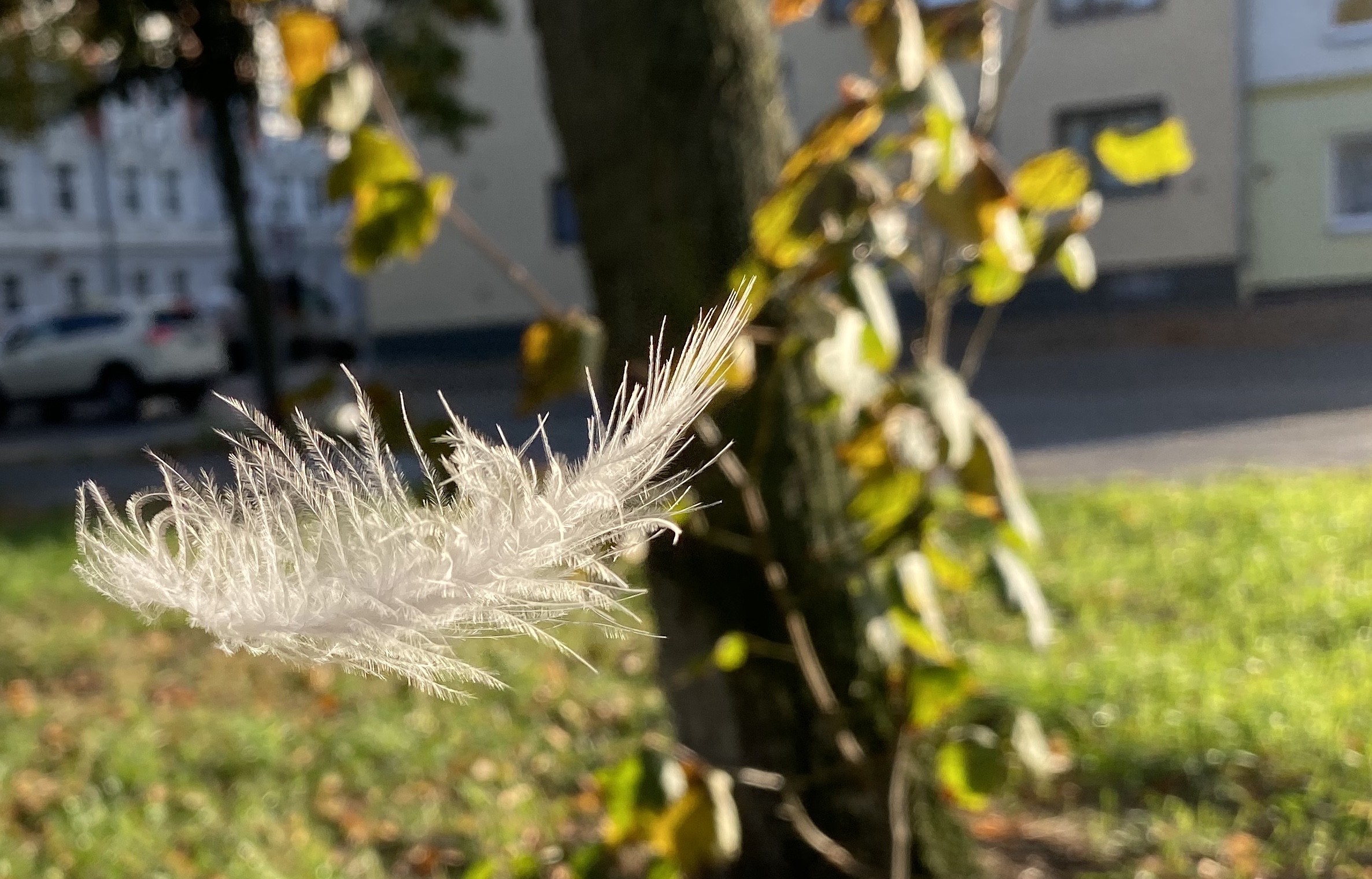 5FF9404F-1C53-4296-AB91-4CF3730F7865.jpeg