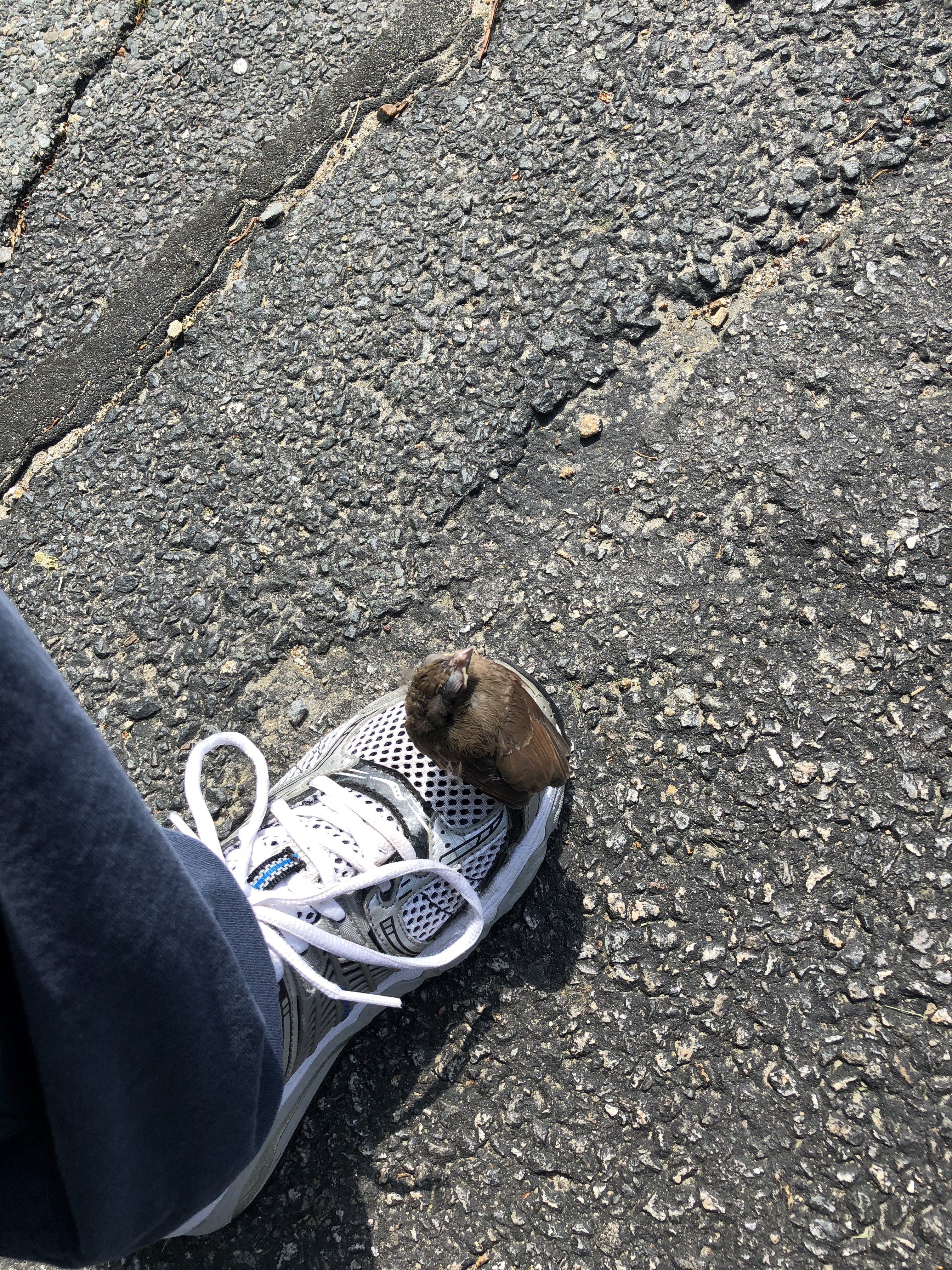 614D2698-6CF2-427C-B4D6-CEE43B3E4DE3.jpeg
