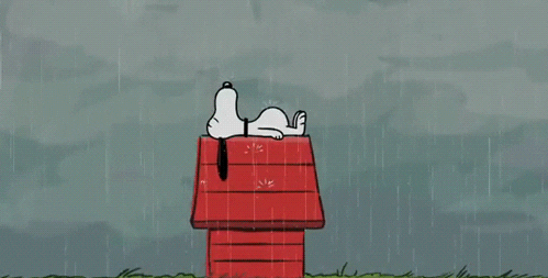 6186C30F-916E-489F-8818-D6E4DD65EA3B.gif