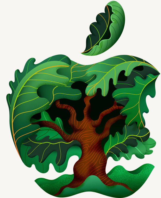 624 × 768 1.png