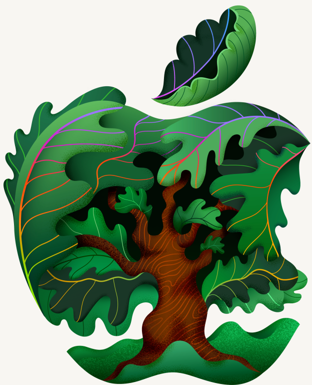 624 × 768 2.png