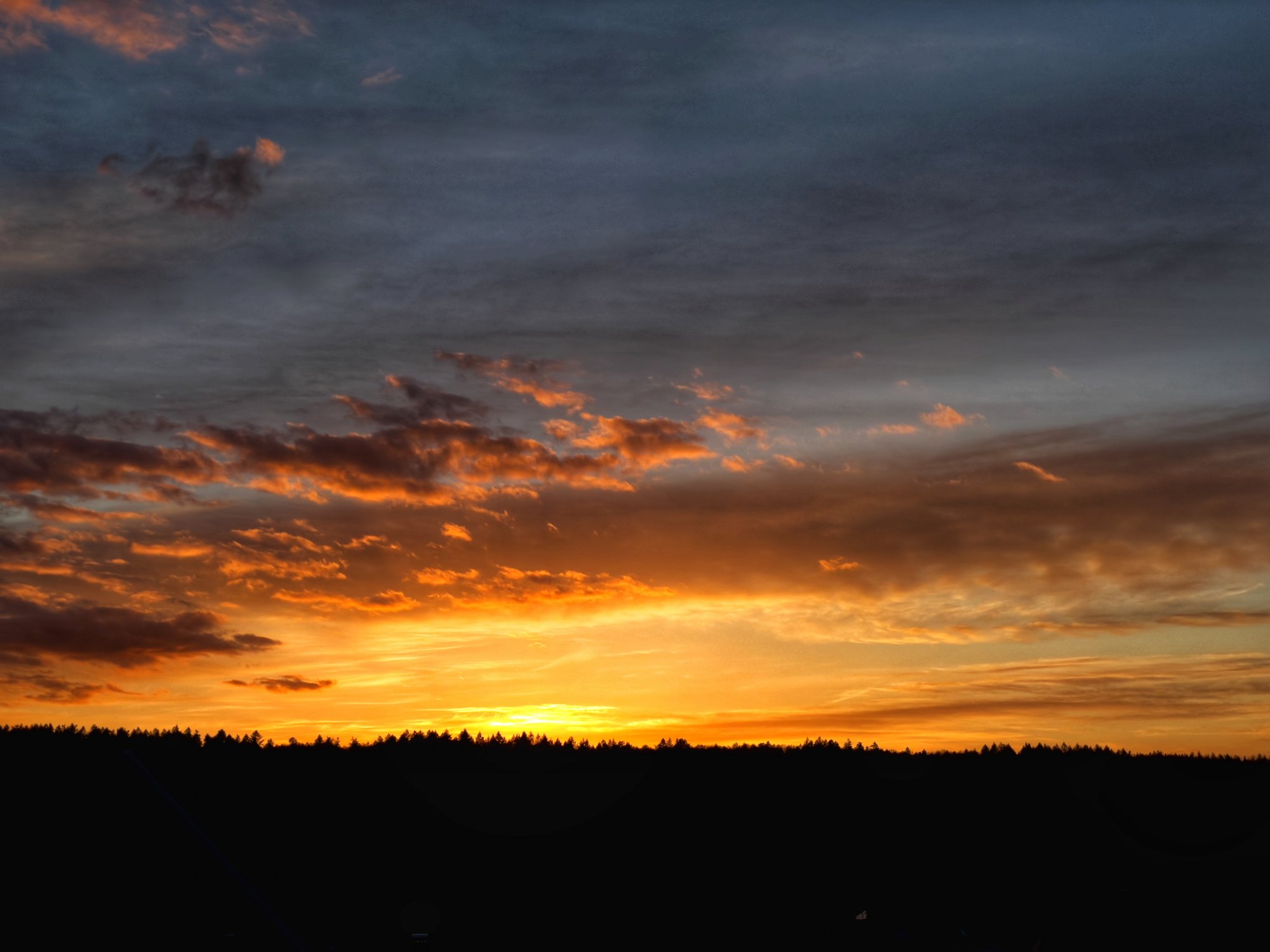 624C7B4D-2CB0-44B0-985B-D8DD5FE0B5A7.jpeg