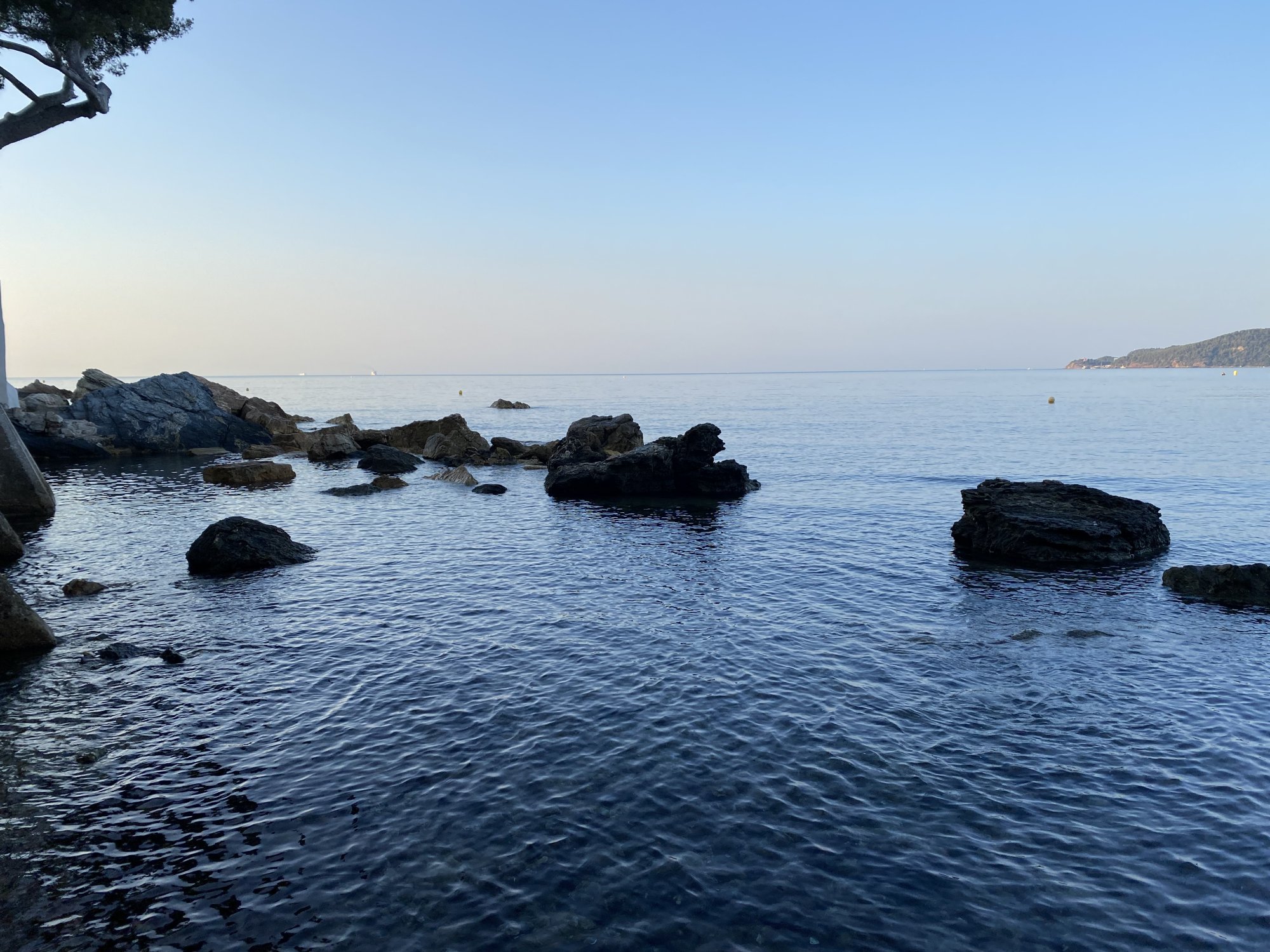6274150D-31BA-4395-B176-4354CD50FEC9.jpeg
