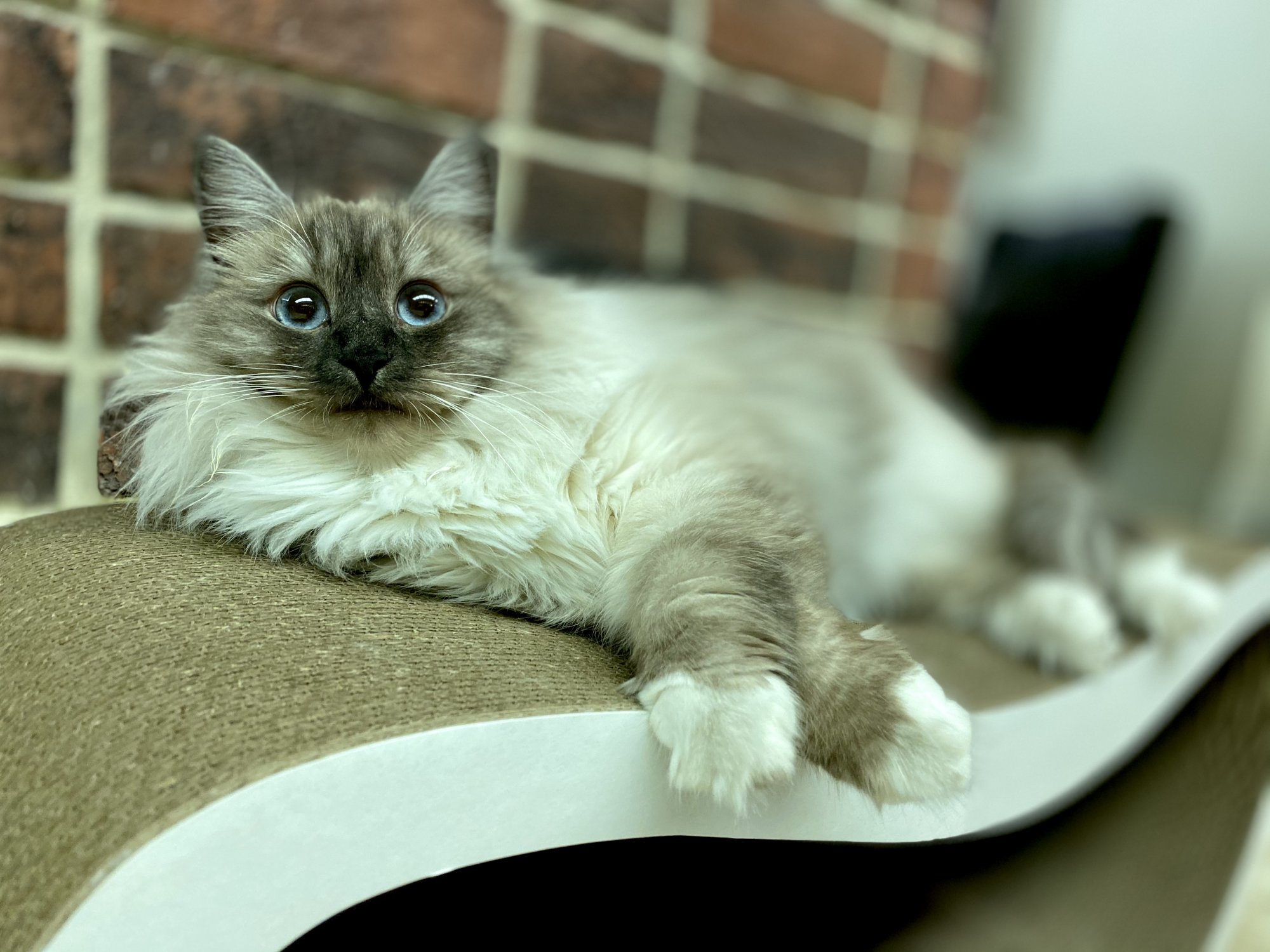 63816ECA-F457-40E4-9462-F8291E11F724.jpeg