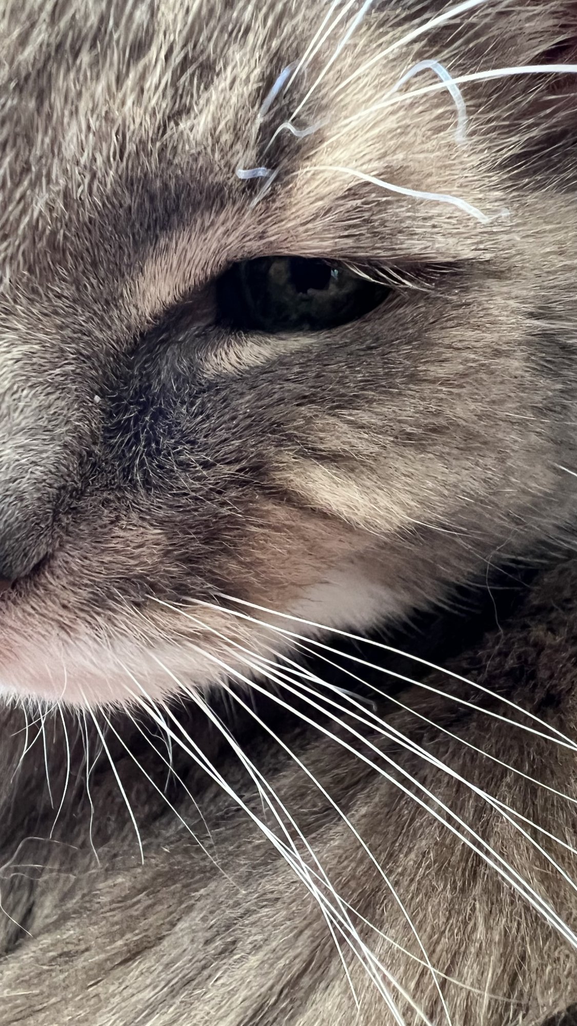 63D3364A-DD57-41EF-A859-D50532142954.jpeg