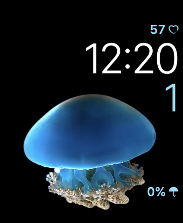 6518693F-28B4-4248-92CB-B4F9FEE464D3.png
