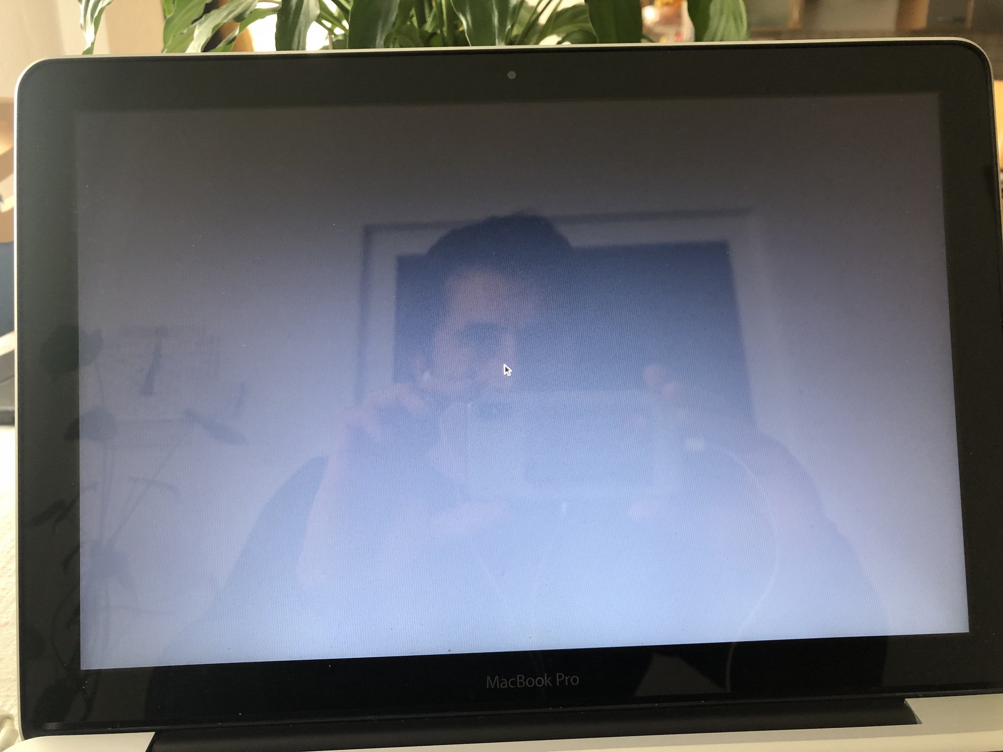 668E3ACB-7B7E-49FF-B723-4923252E03AF.jpeg