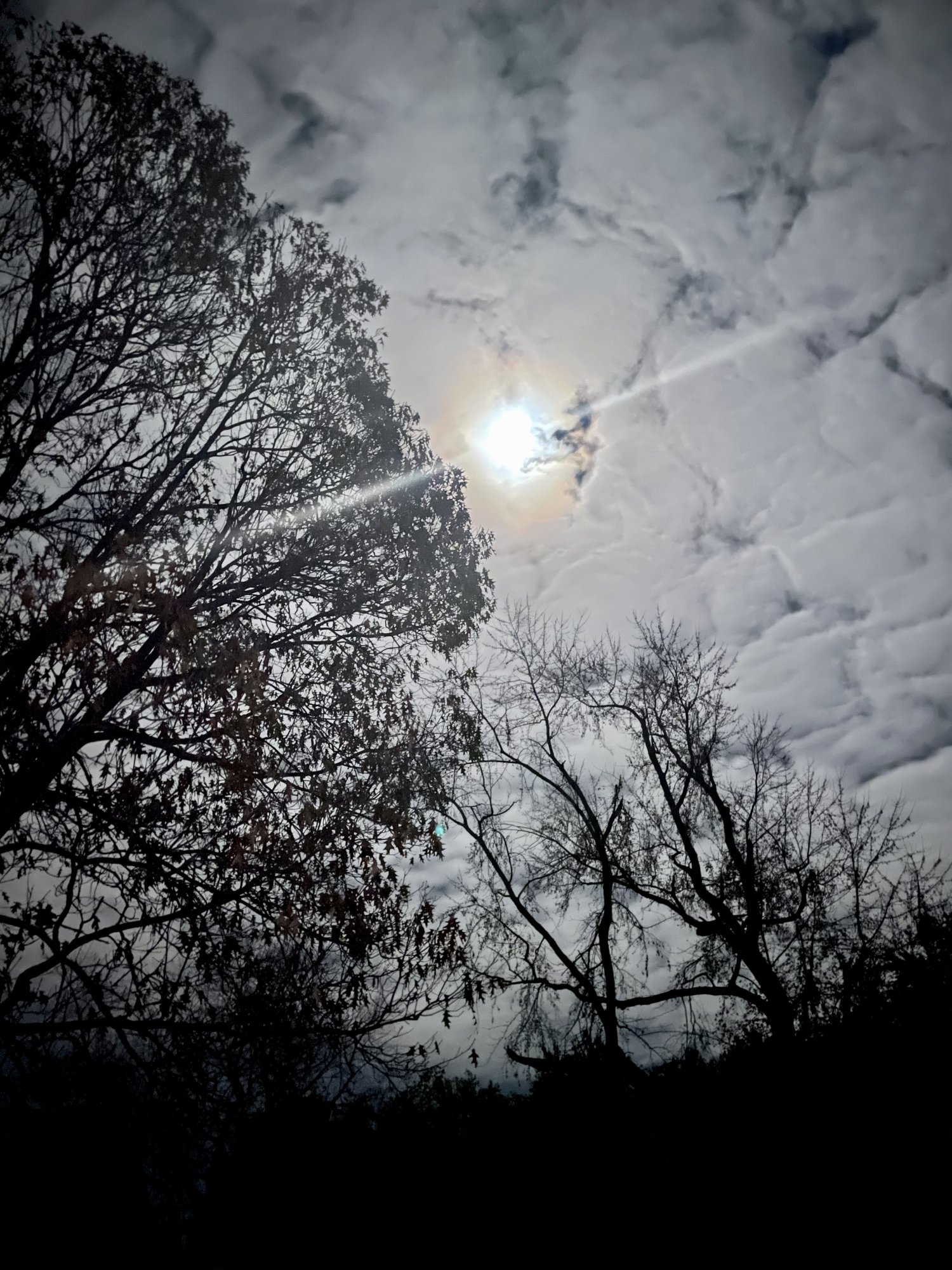 6B42EDB2-7615-4F7B-BDCC-3B6299AC9514.jpeg