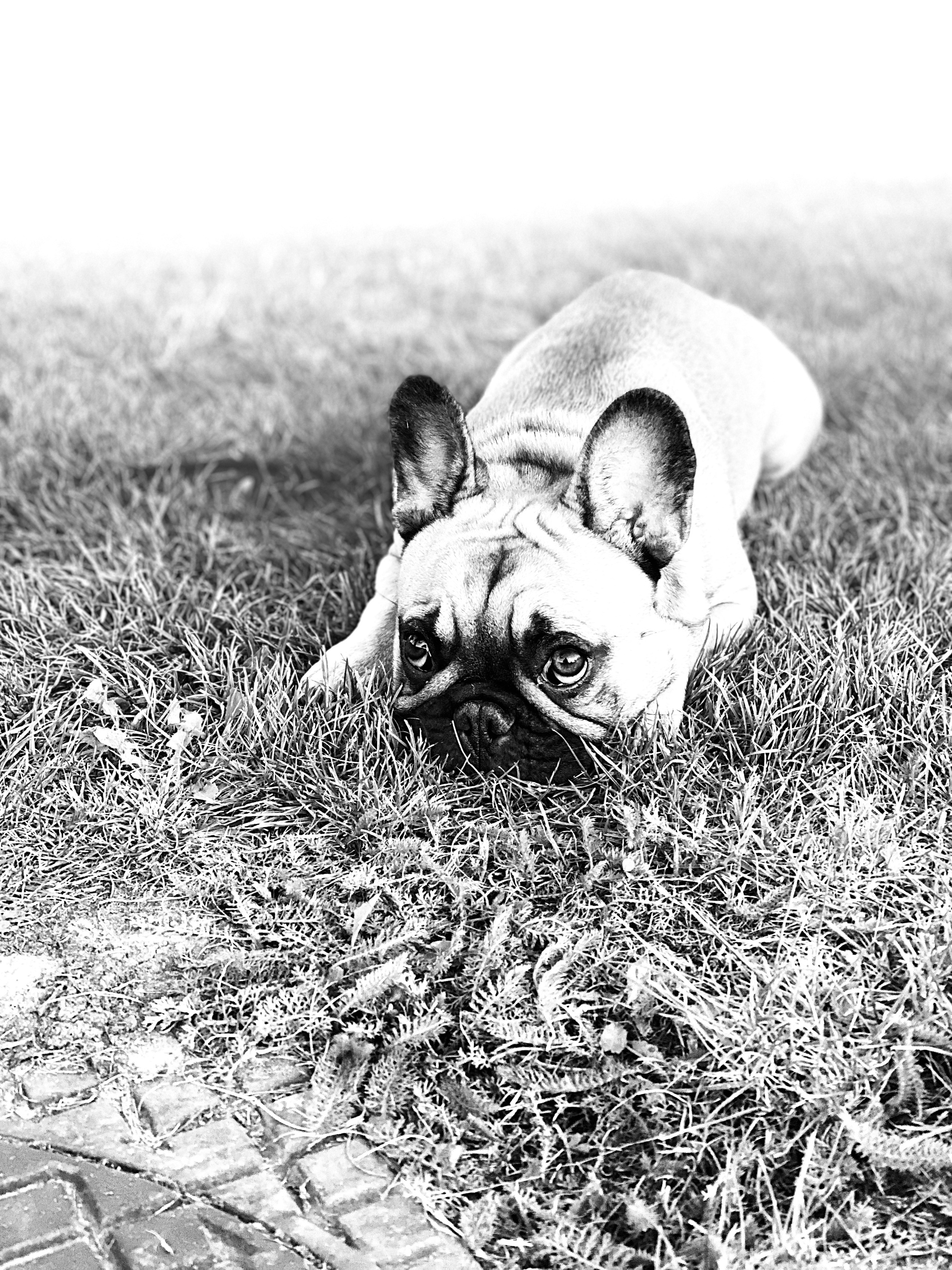 6C7658B7-8B39-4E5F-97DB-409309C43D87.jpeg