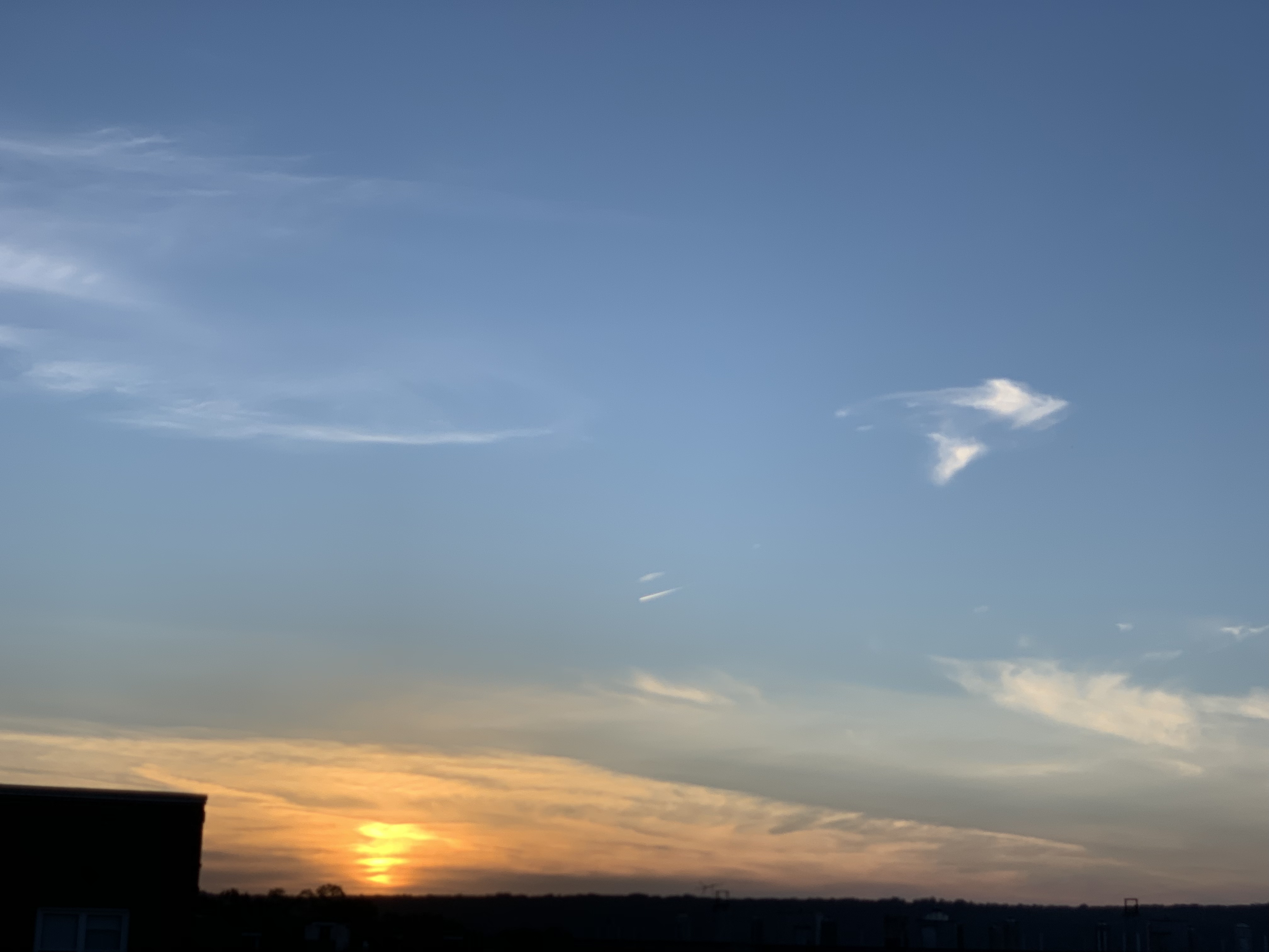 6C772F30-5B0C-4EA1-BFAD-7CFA04B7659E.jpeg