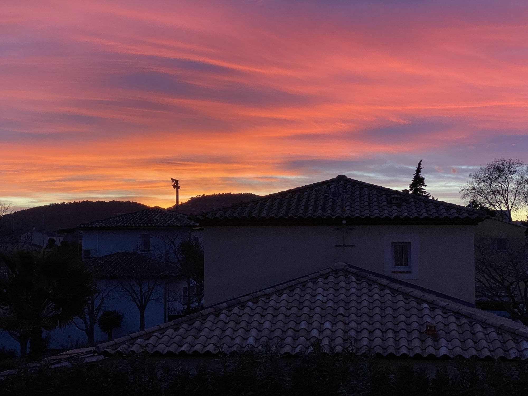 6E1C7092-9313-4225-89EA-A6D784E12F4B.jpeg