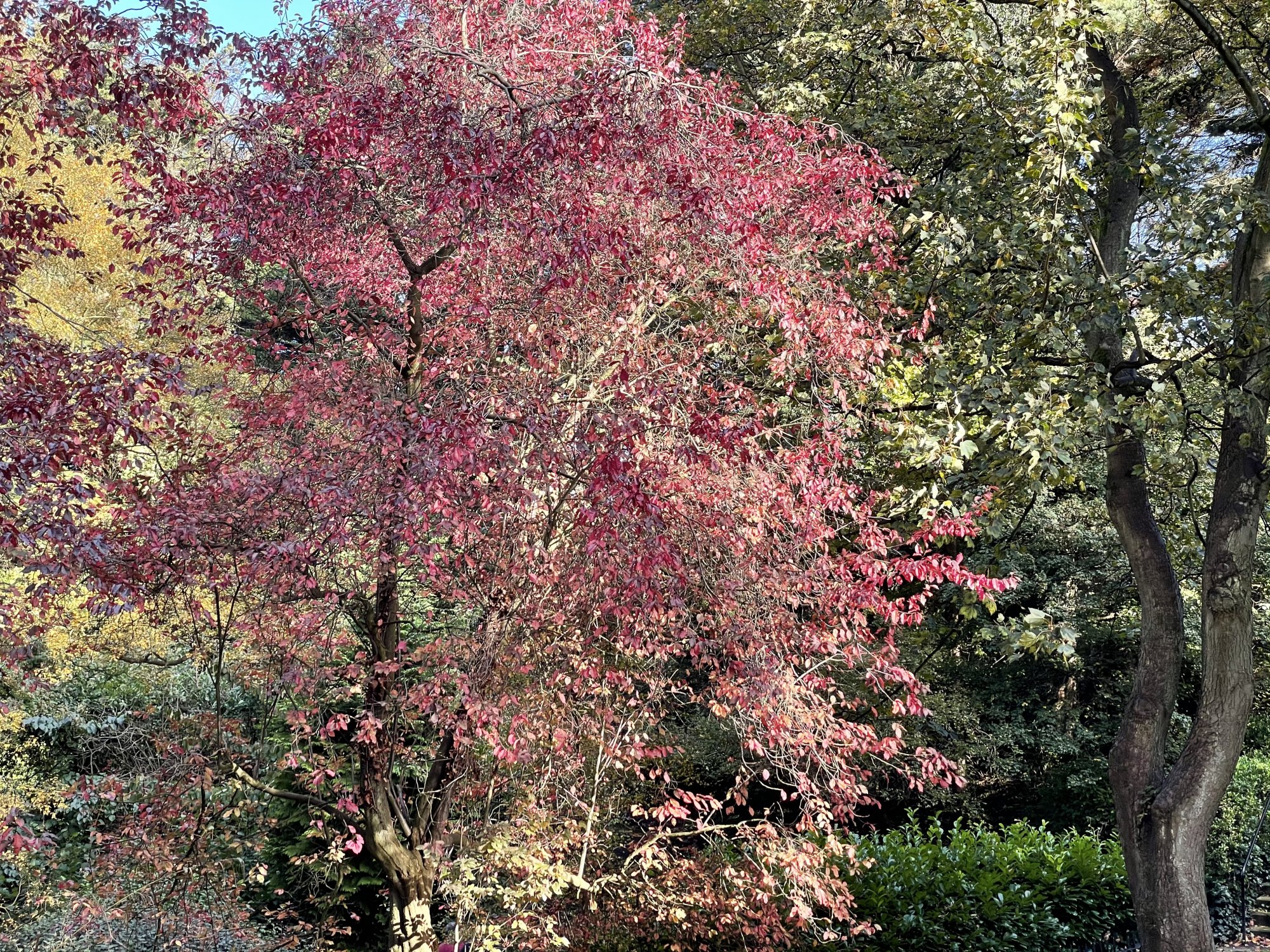 6E807098-3373-45E7-B3C6-635013B58C59.jpeg