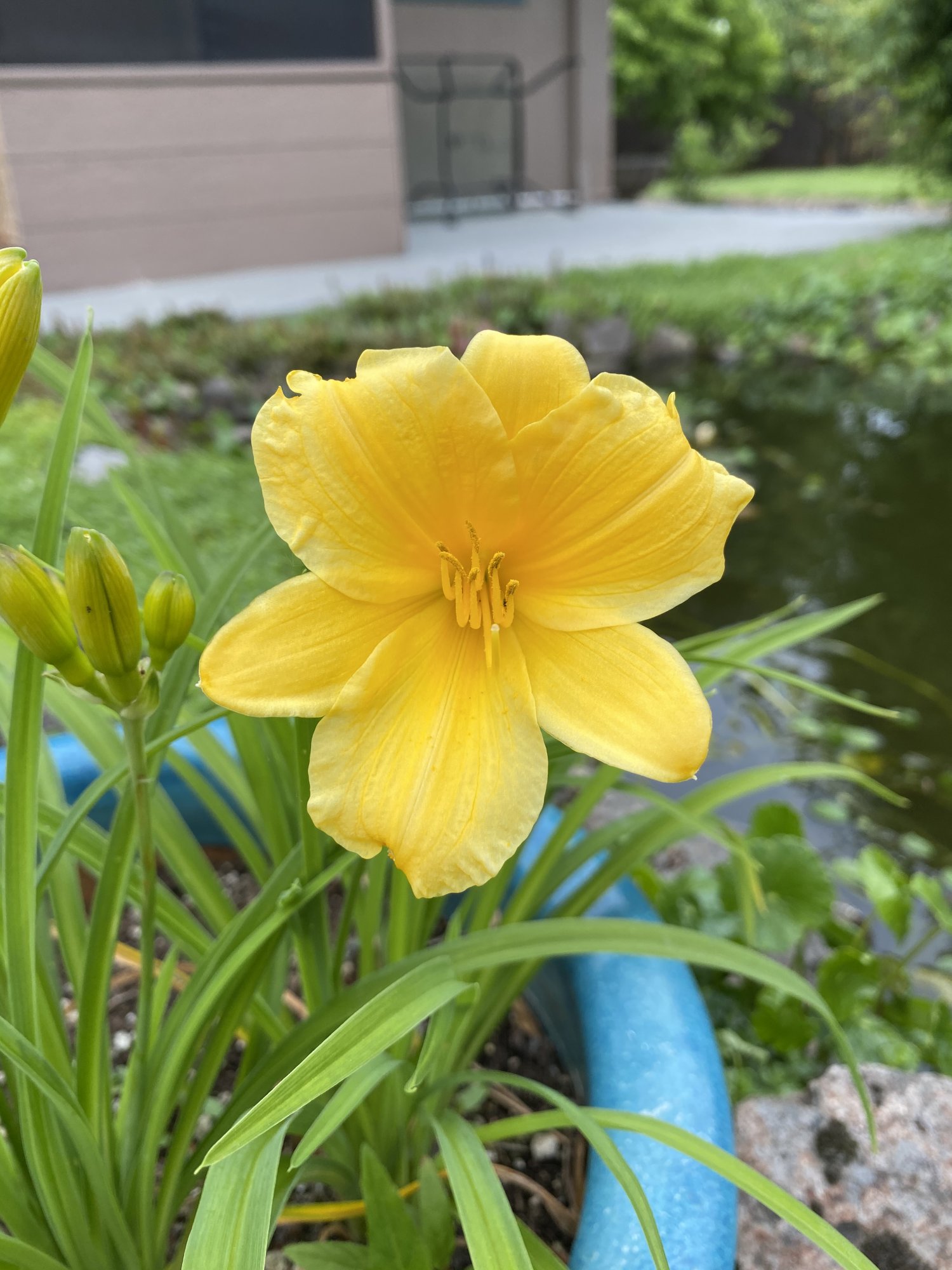 6F909744-B07E-4C88-AB5A-4E34819B39BB.jpeg