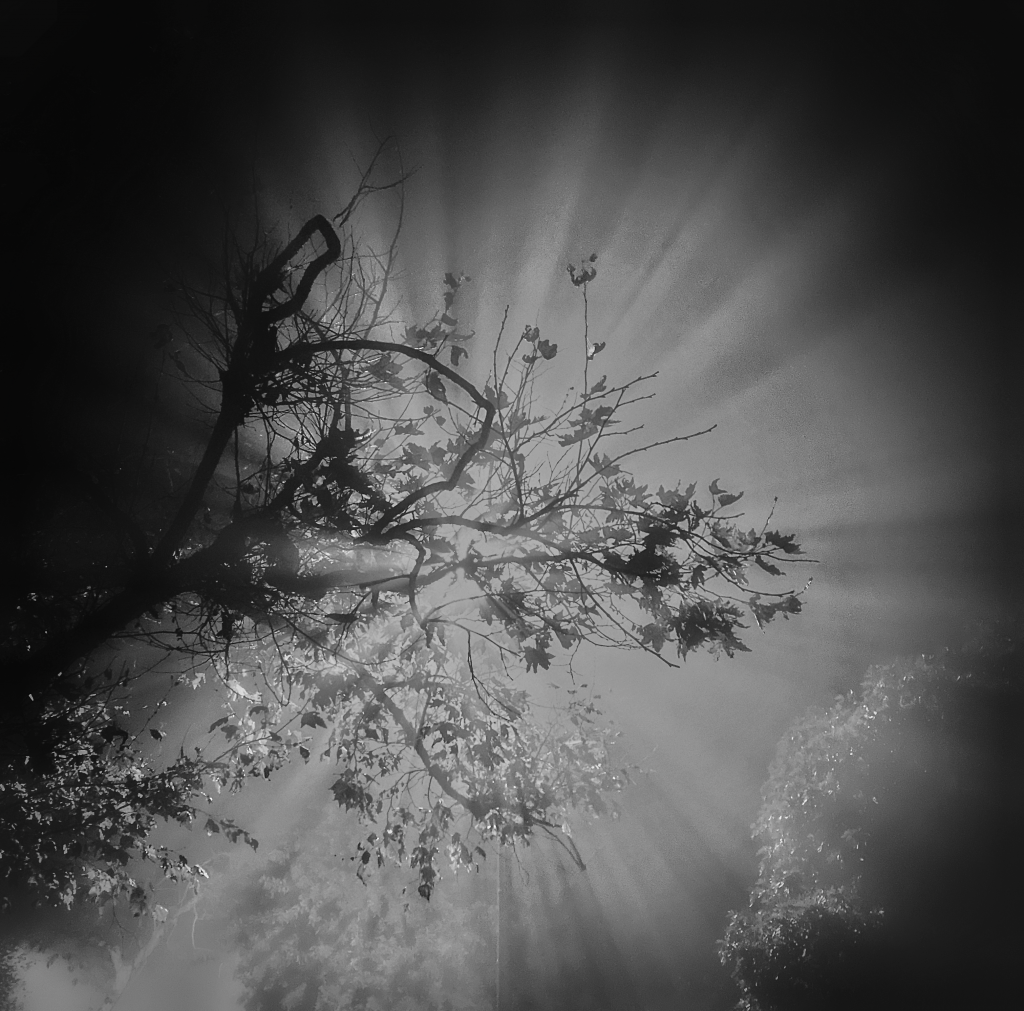 7055883E-E447-40B1-999F-8FF62206F77D.png