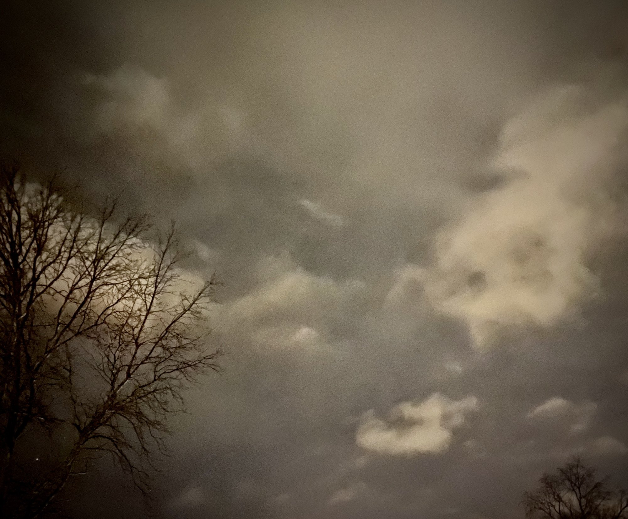 70E9242A-DAFF-4BD8-A3E1-52CE24EF1295.jpeg