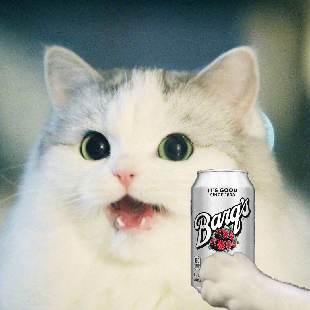 727B3841-BDFB-4859-A9FF-9B23D7AF9E81.jpeg
