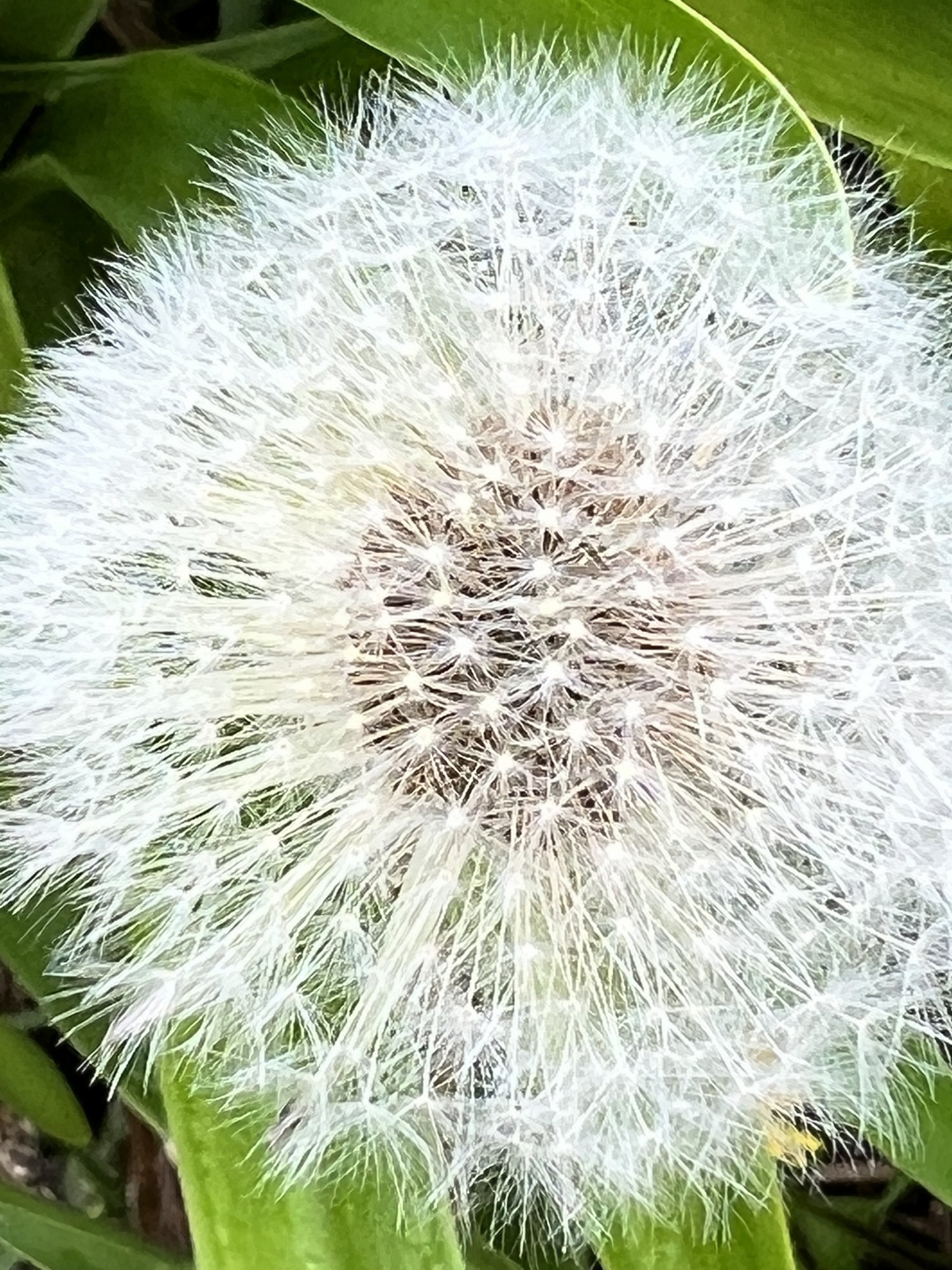 74CEE5AF-0C2C-42D5-851C-D709CFAF43B7.jpeg
