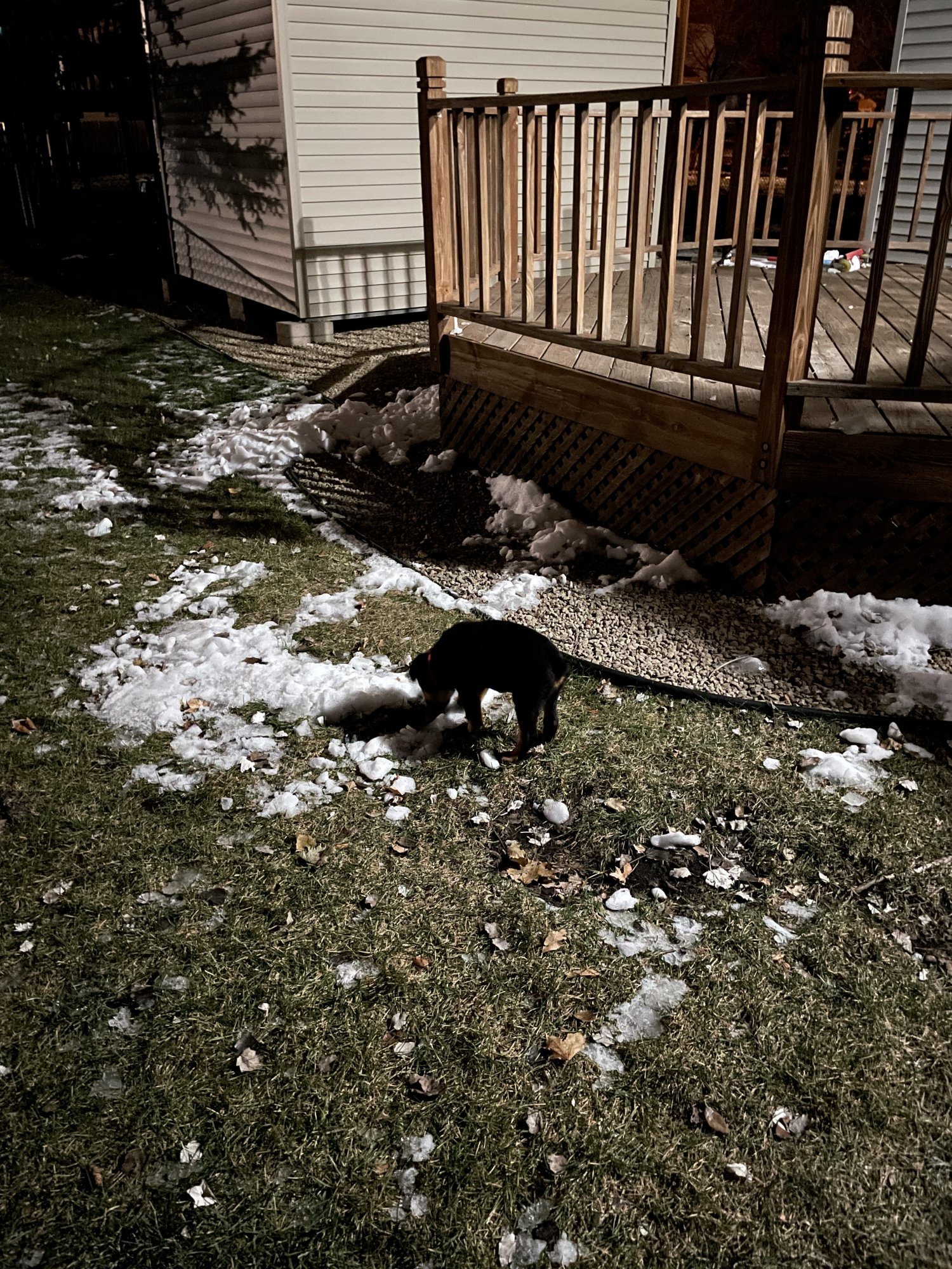7565A95D-C5B9-4707-95AC-B53CD6E95F82.jpeg