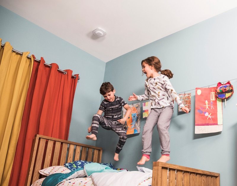 alexa carbon monoxide and smoke detector