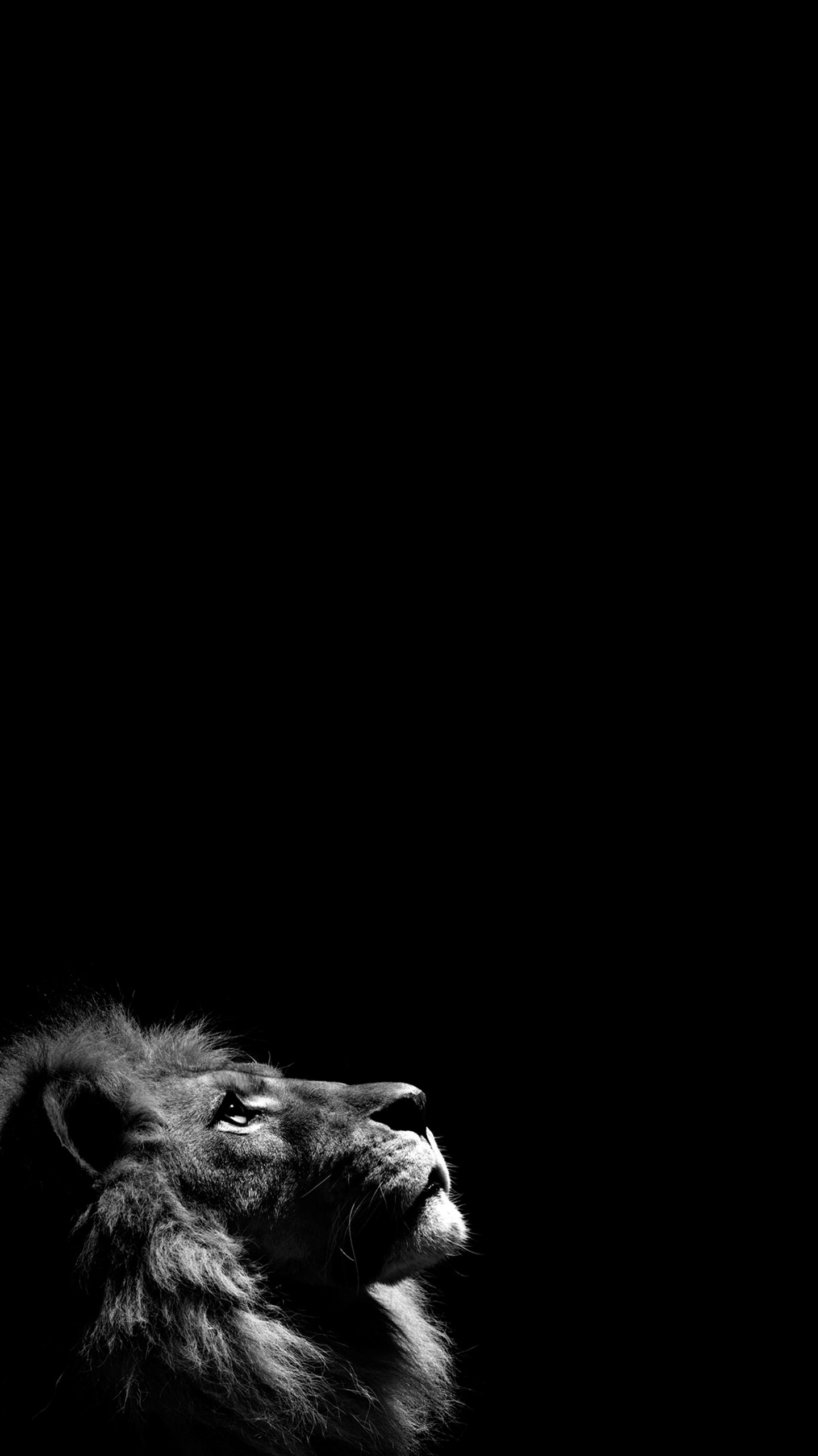 76461B2C-0128-46EB-9CB1-00189AE39B89.jpeg