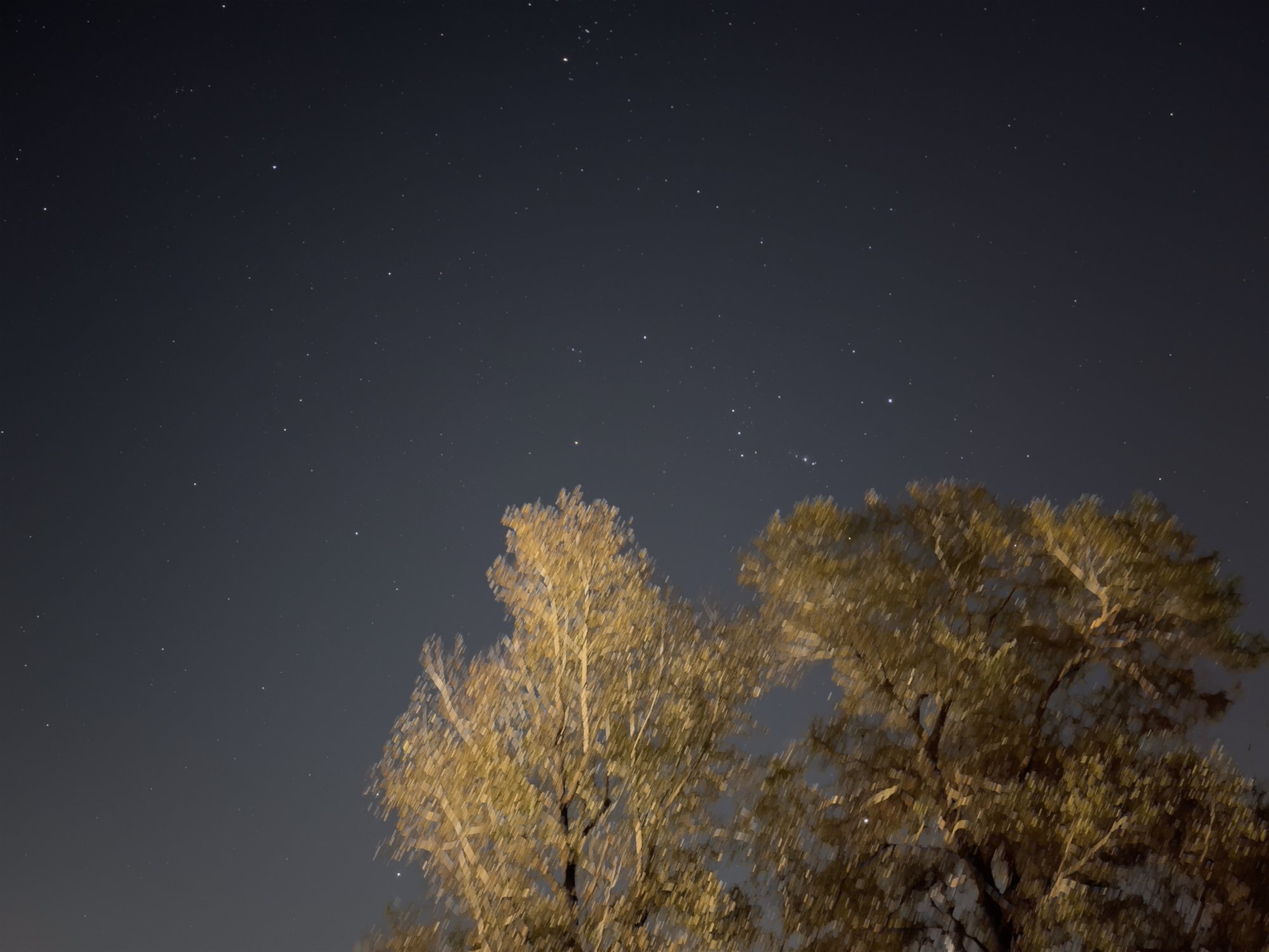 7695935B-53C5-47BC-A7E5-D20258419A14.jpeg